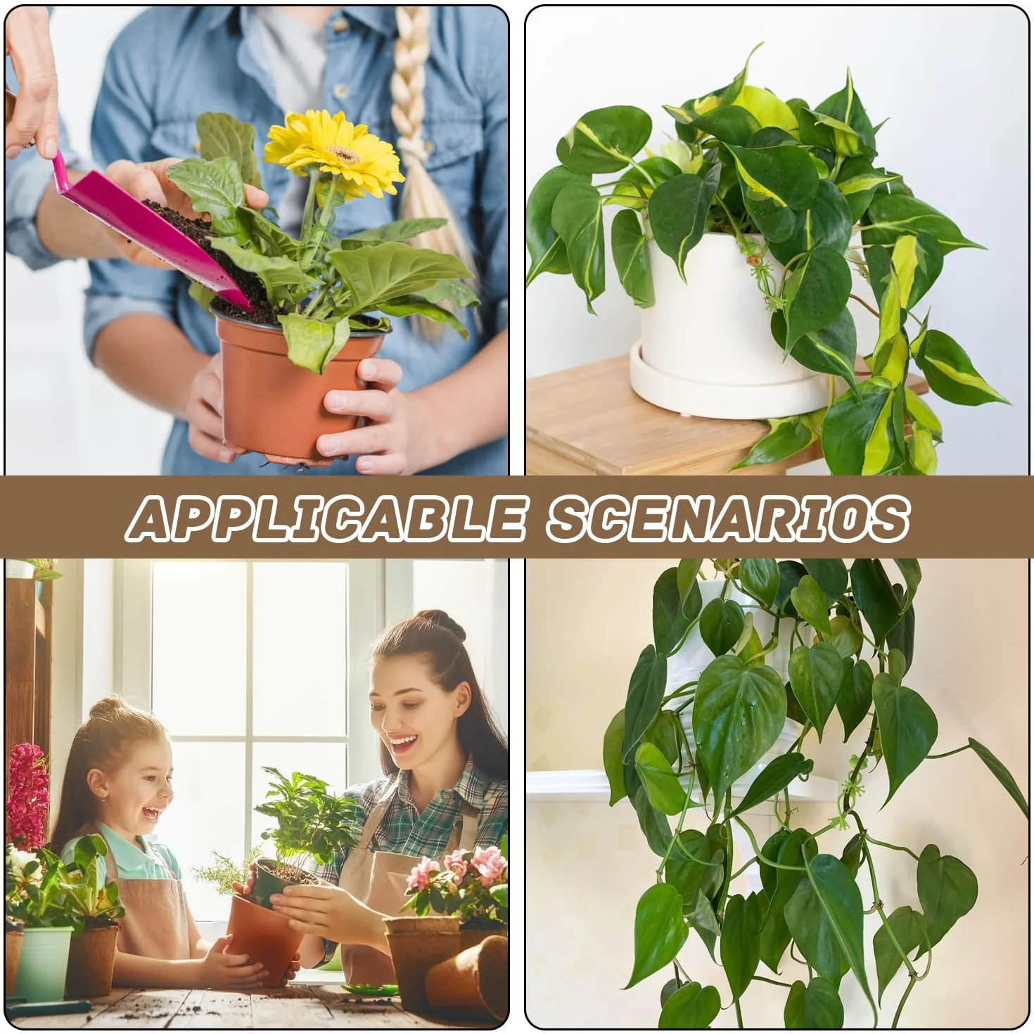 Support de Plantes Grenouille 5 Pièces Vert pour Jardin et Plantes en Pot