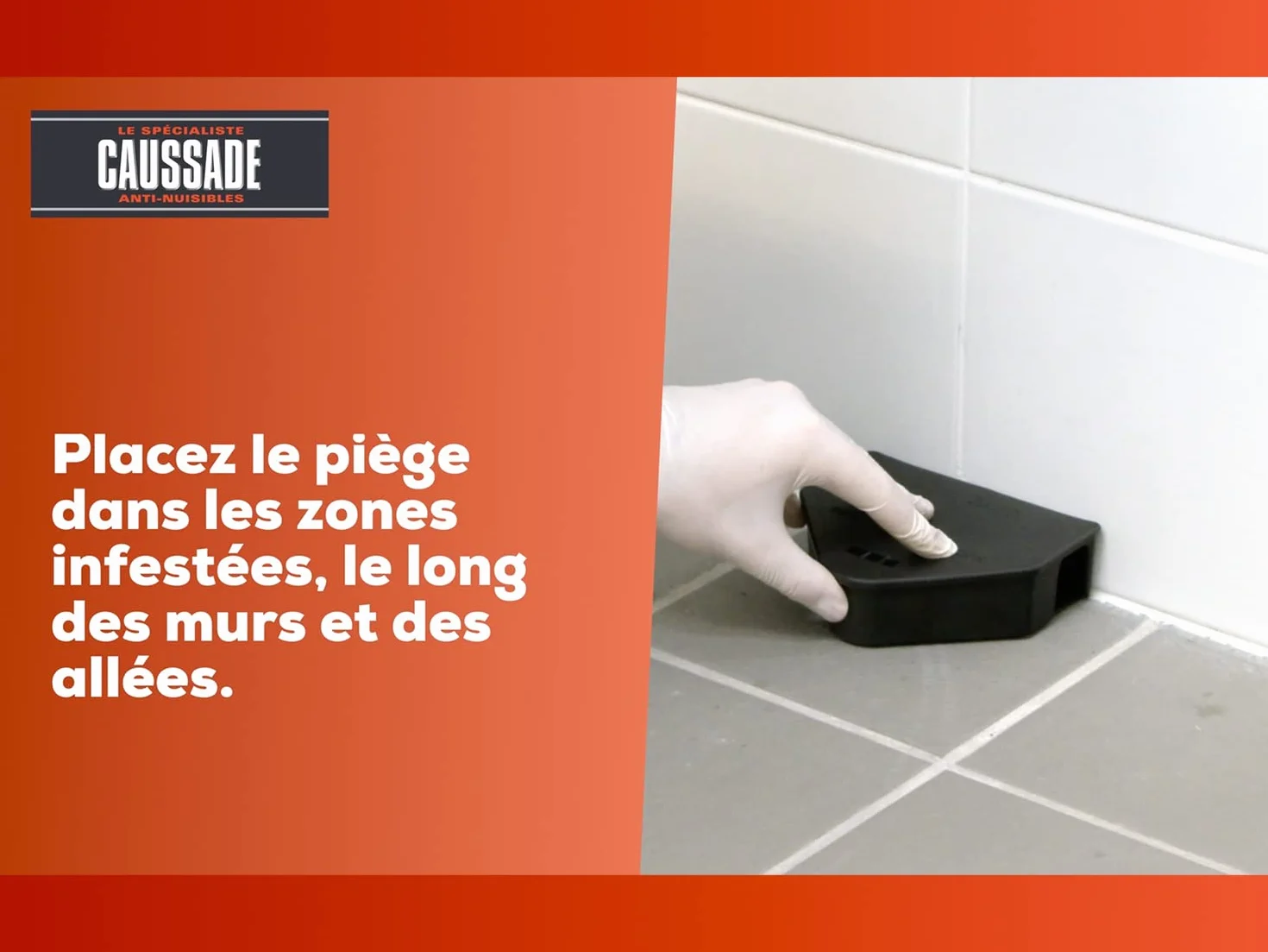 Caussade Raticide Canadien Anti Rats Souris 40 Appâts Pâtes 400g Prêt à l'emploi Fabriqué en France