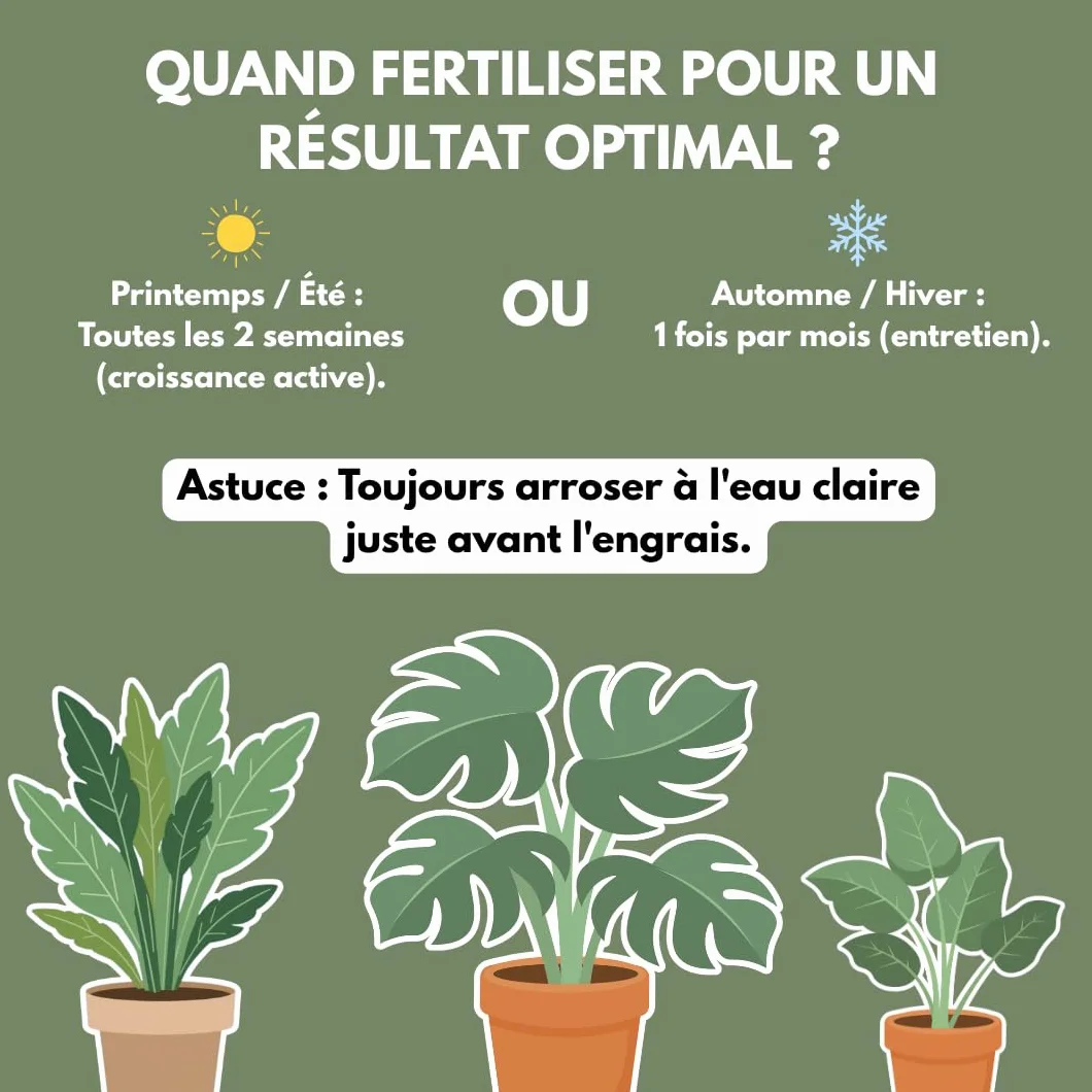 Engrais Plantes Vertes Et Rares Liquide 100% Naturel Made In France