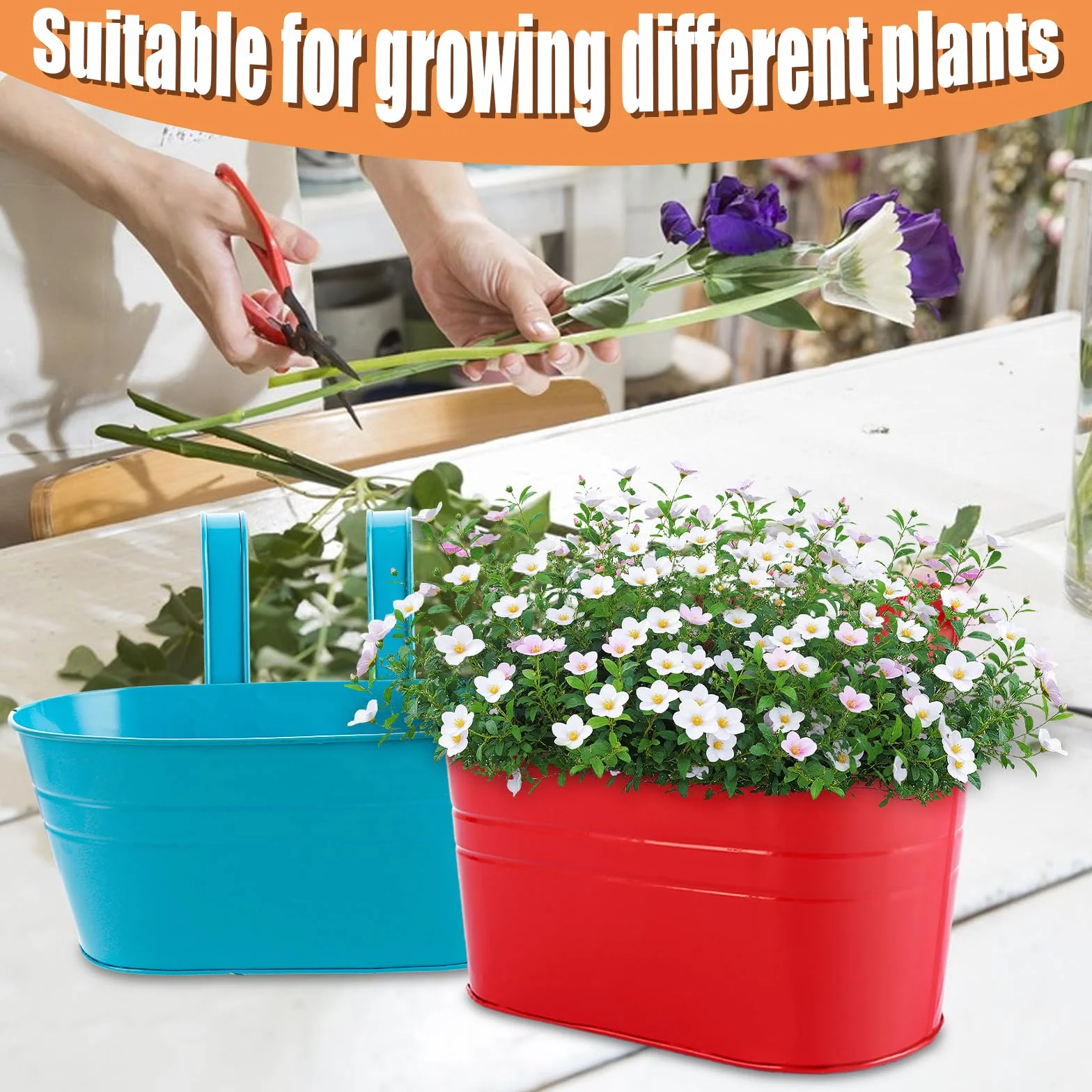Lot de 6 pots de fleurs suspendus en métal 27,5 cm Multicolore