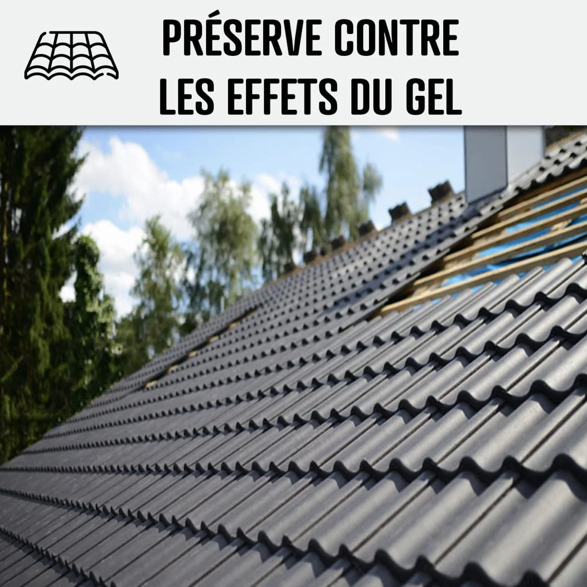 Hydrofuge Toiture, imperméabilisant tuiles incolore - IMPERTOITURE HYDRO - 5 L (jusqu'à 25 m²) - ARCANE INDUSTRIES