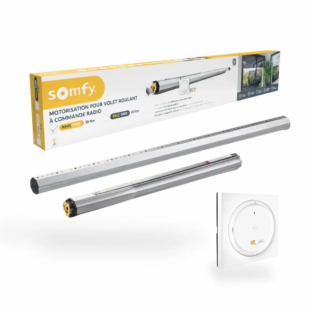 Somfy 1245874 Kit de Motorisation pour Volet Roulant pour Fenêtre RMS 1700 Radio IO - Compatible avec Volets rénovation, Tunnel, Bloc-Baie â€“ Télécommande Amy Incluse â€“ Compatible Tahoma