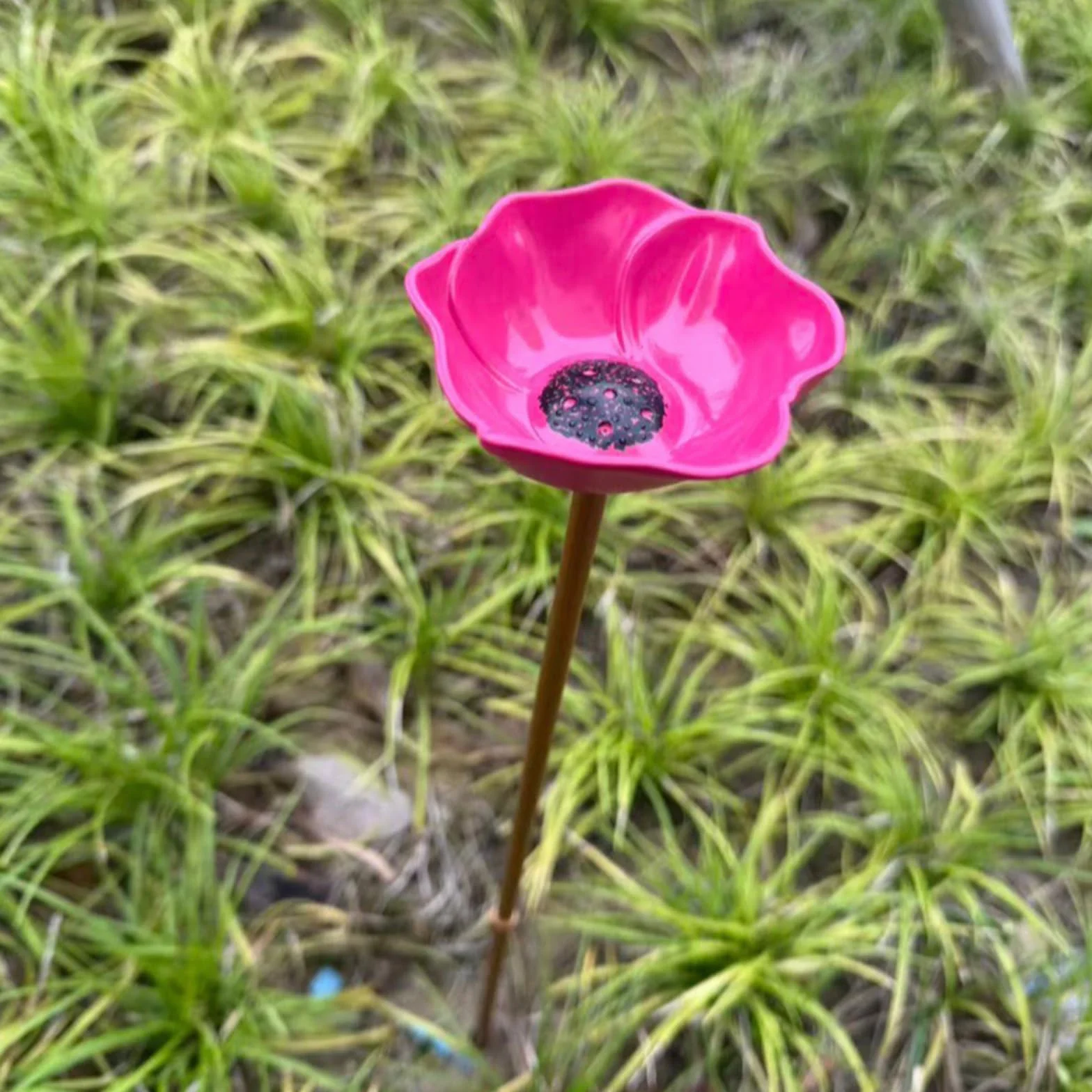 Station d'arrosage pour Oiseaux en métal Fer forgé Forme Fleur, Abreuvoir extérieur pour Papillons et Abeilles