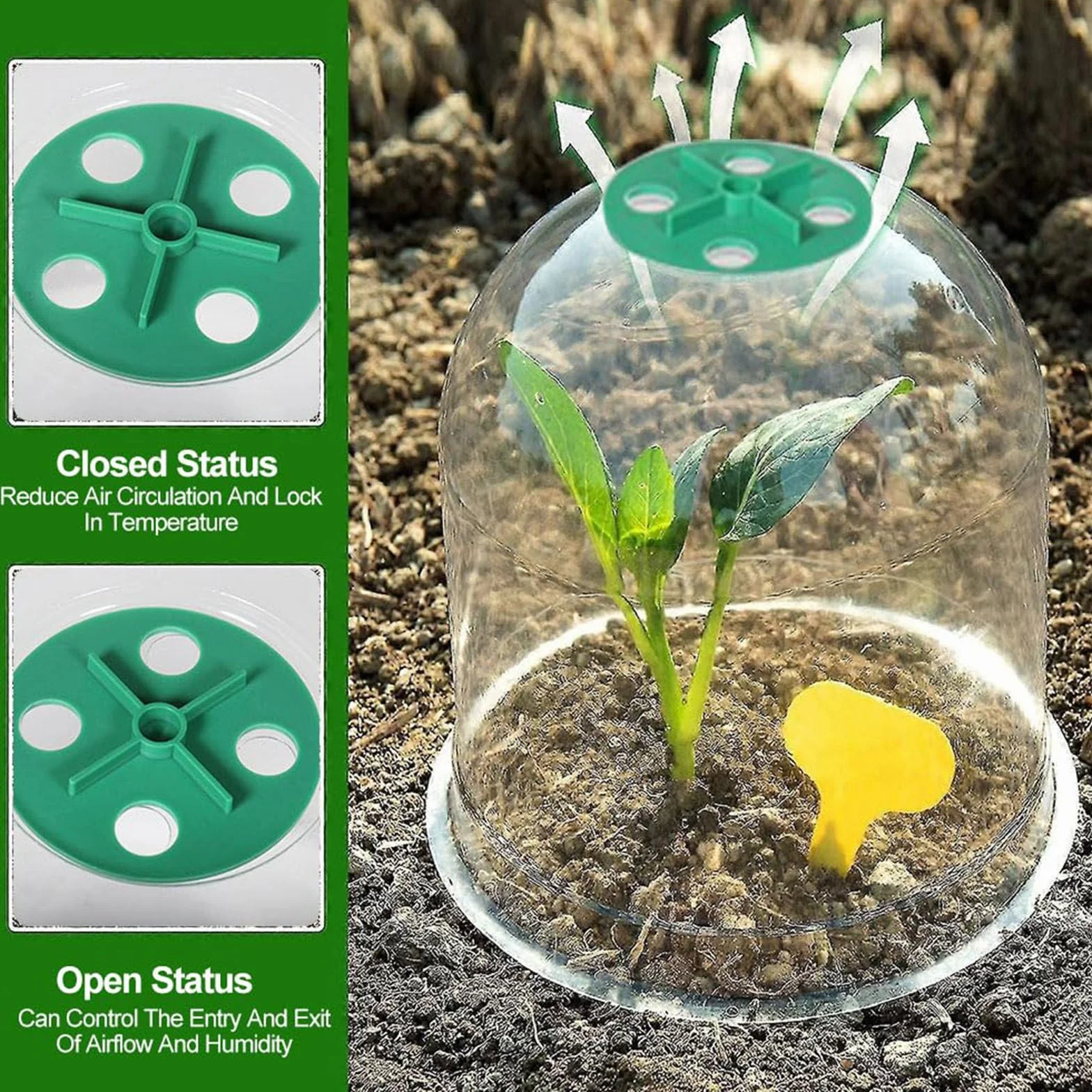Cloche pour Plantes de Jardin 10 Pièces Protection Pluie Gel Ventilation Extérieur Blanc