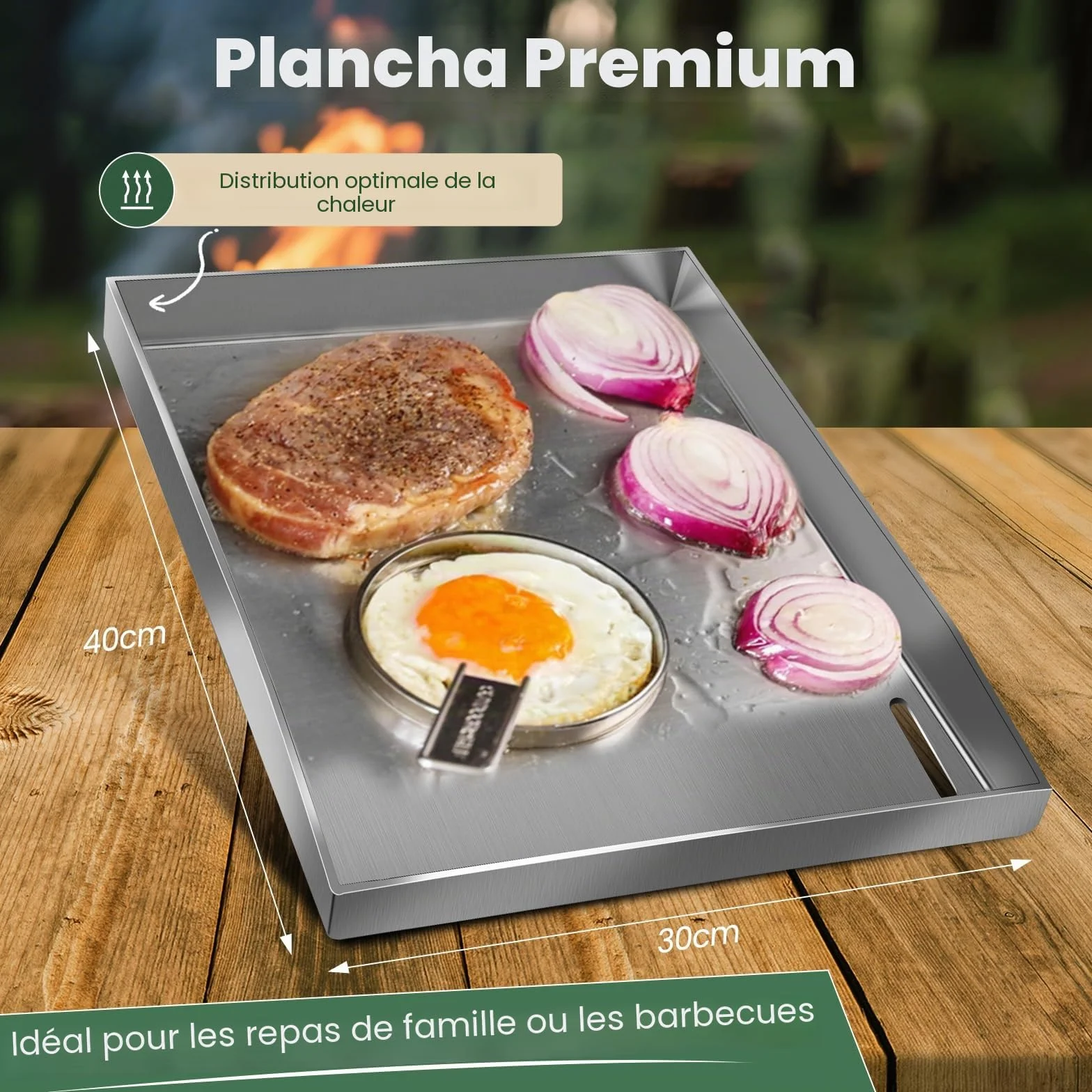Lot plancha acier inoxydable massif 4 mm 30 x 40 cm pour barbecue gaz charbon avec spatule