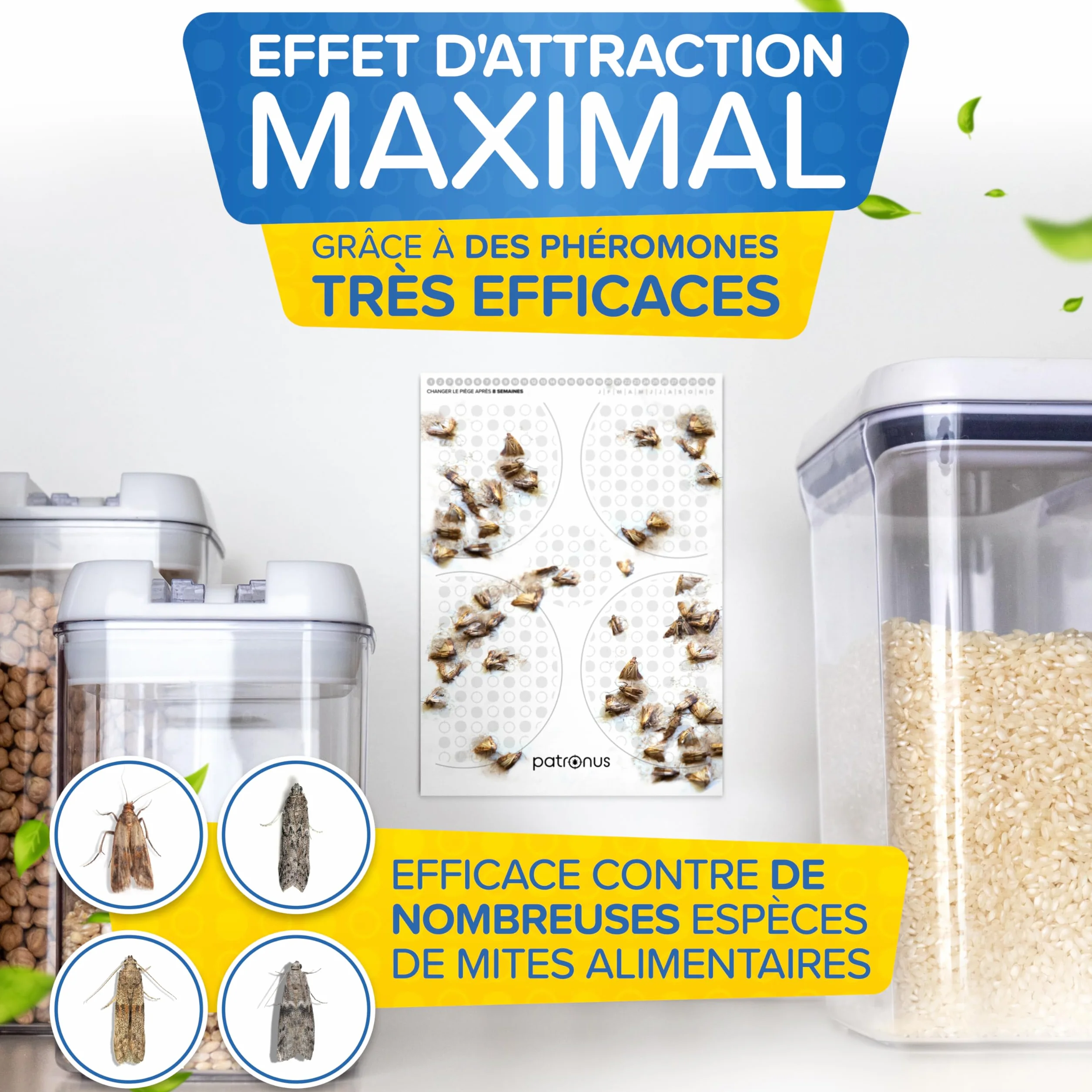 Piège à Mites Alimentaires 10 Pièces - Piège à Phéromones avec Colle Haute Performance Contre Les Mites Alimentaires