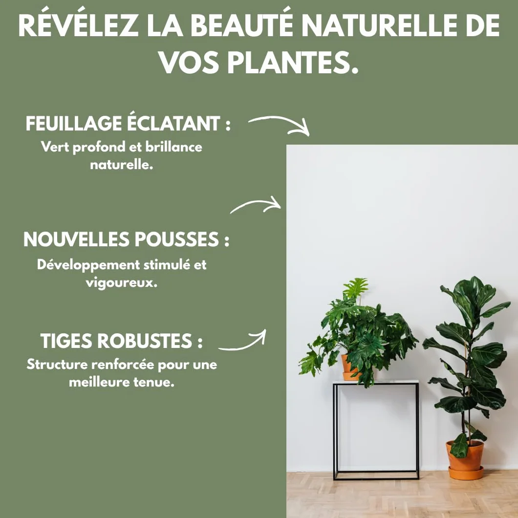 Engrais Plantes Vertes Et Rares Liquide 100% Naturel Made In France