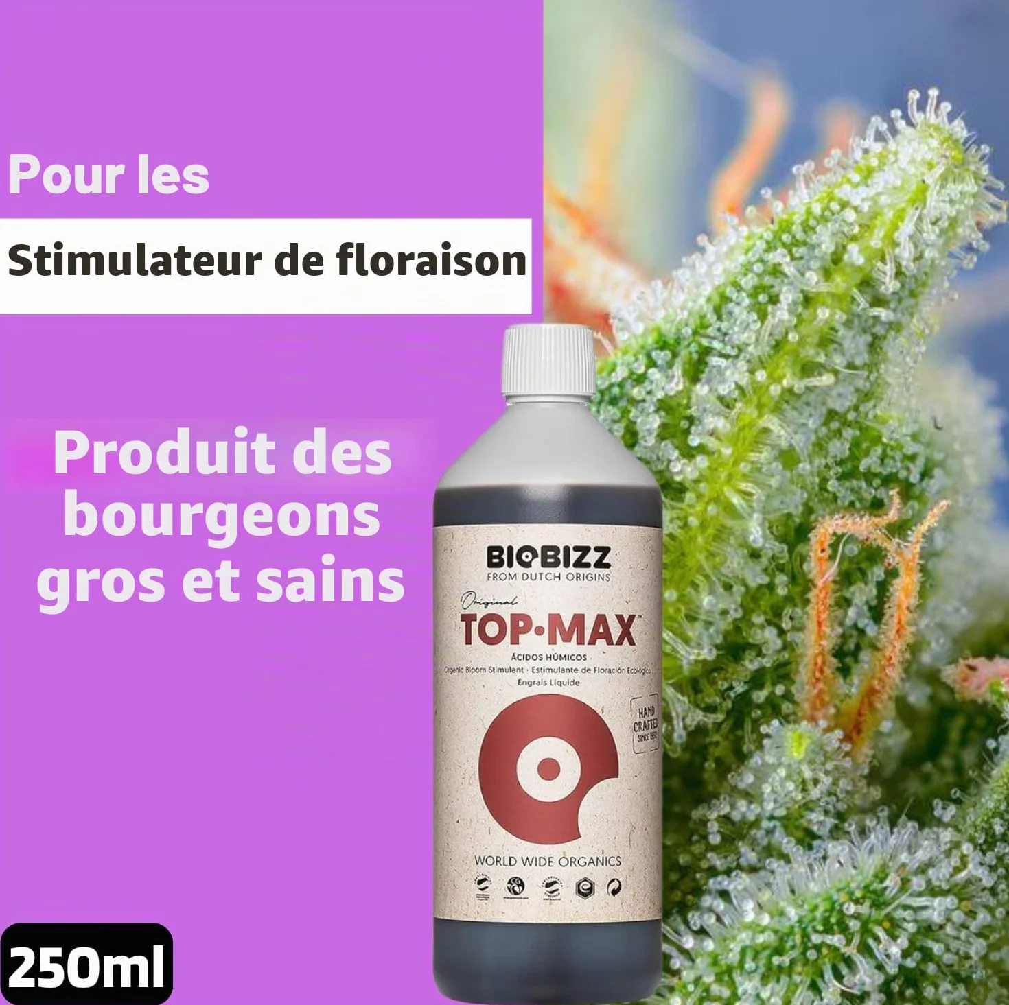 Biobizz Pack Démarrage Engrais Liquide pour Plantes Set de Croissance
