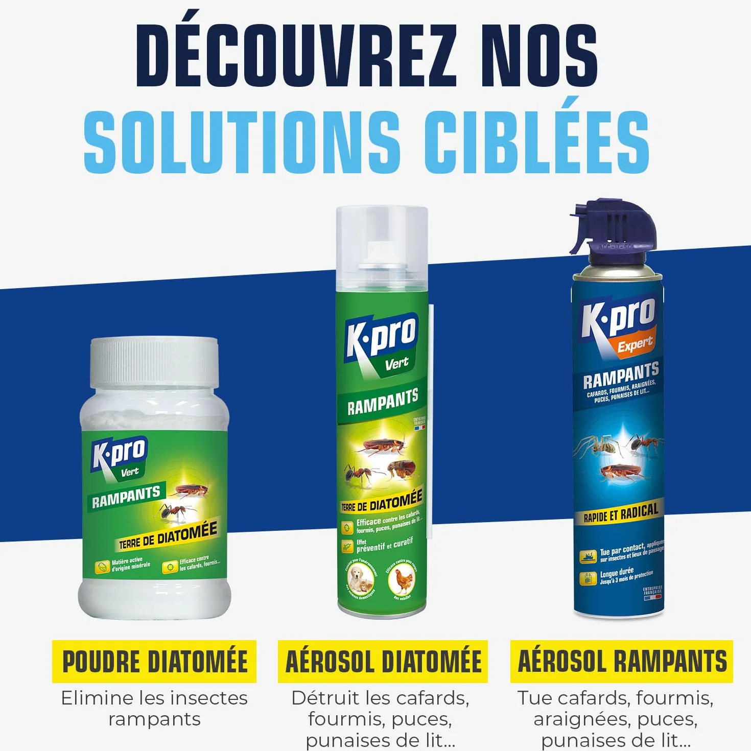 Terre de Diatomée Punaises de Lit Poudre 100g Naturel Élimine Fourmis Cafards Blattes Puces