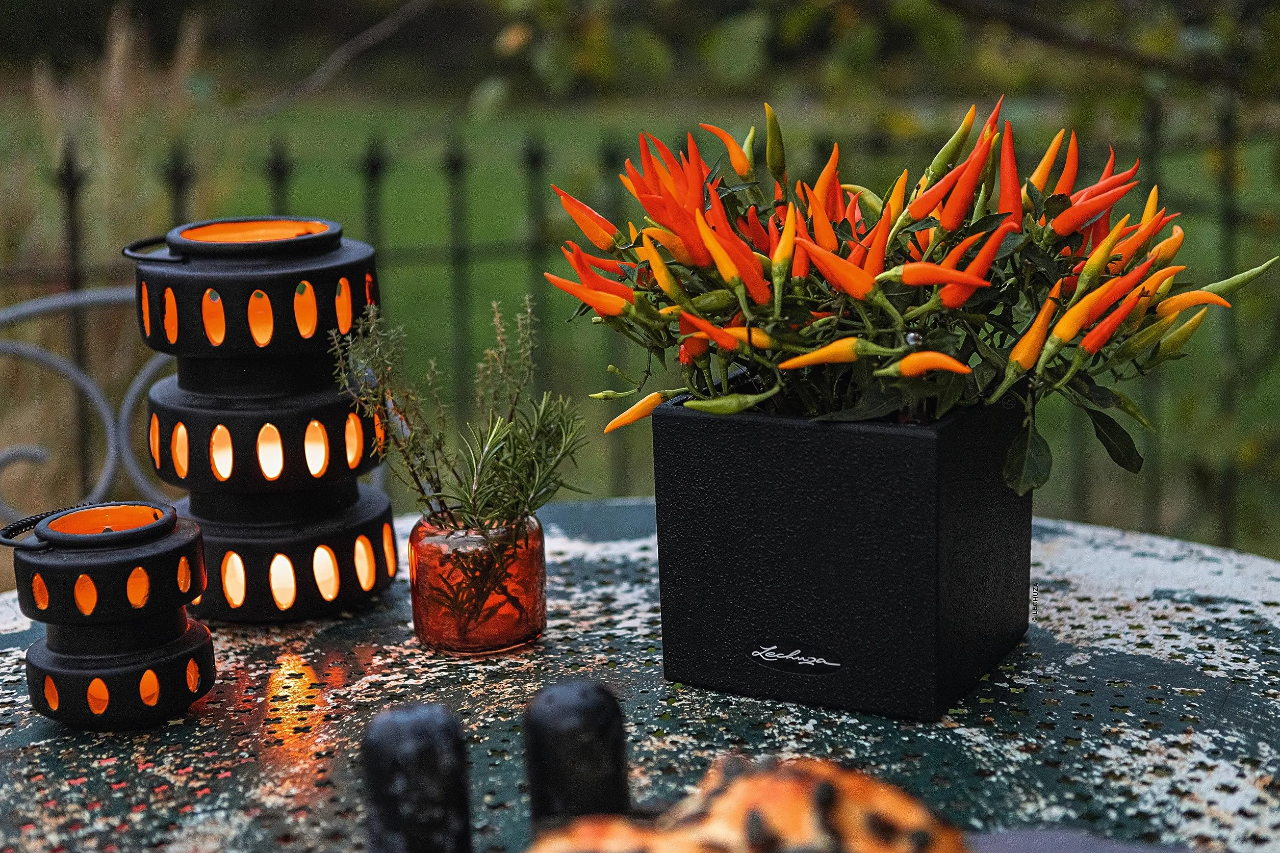Lechuza Canto Pot de Fleurs d'Extérieur et d'Interieur Noir Graphite 14 x 14 x 14 cm