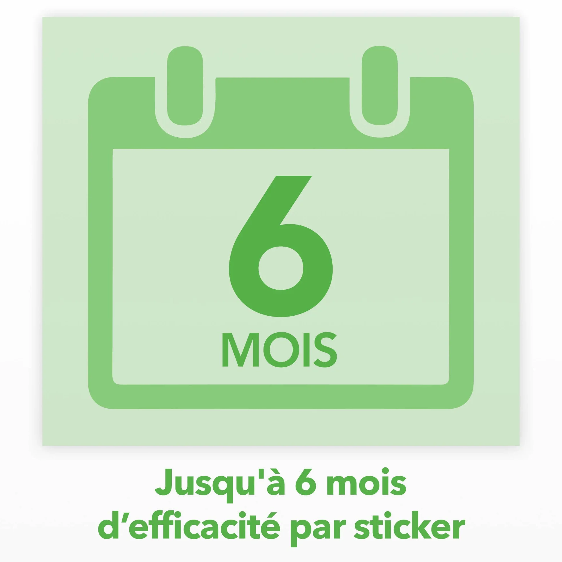 Raid Essentials Piege À Mouches Et Mouches À Fruits Sticker Fenêtre Forme Soleil Levant 6 unités