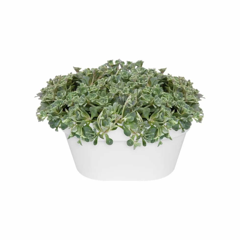 Elho Loft Urban Mural 40 Planteur Balcon Extérieur Ø 39.3 x H 18.8 cm Blanc