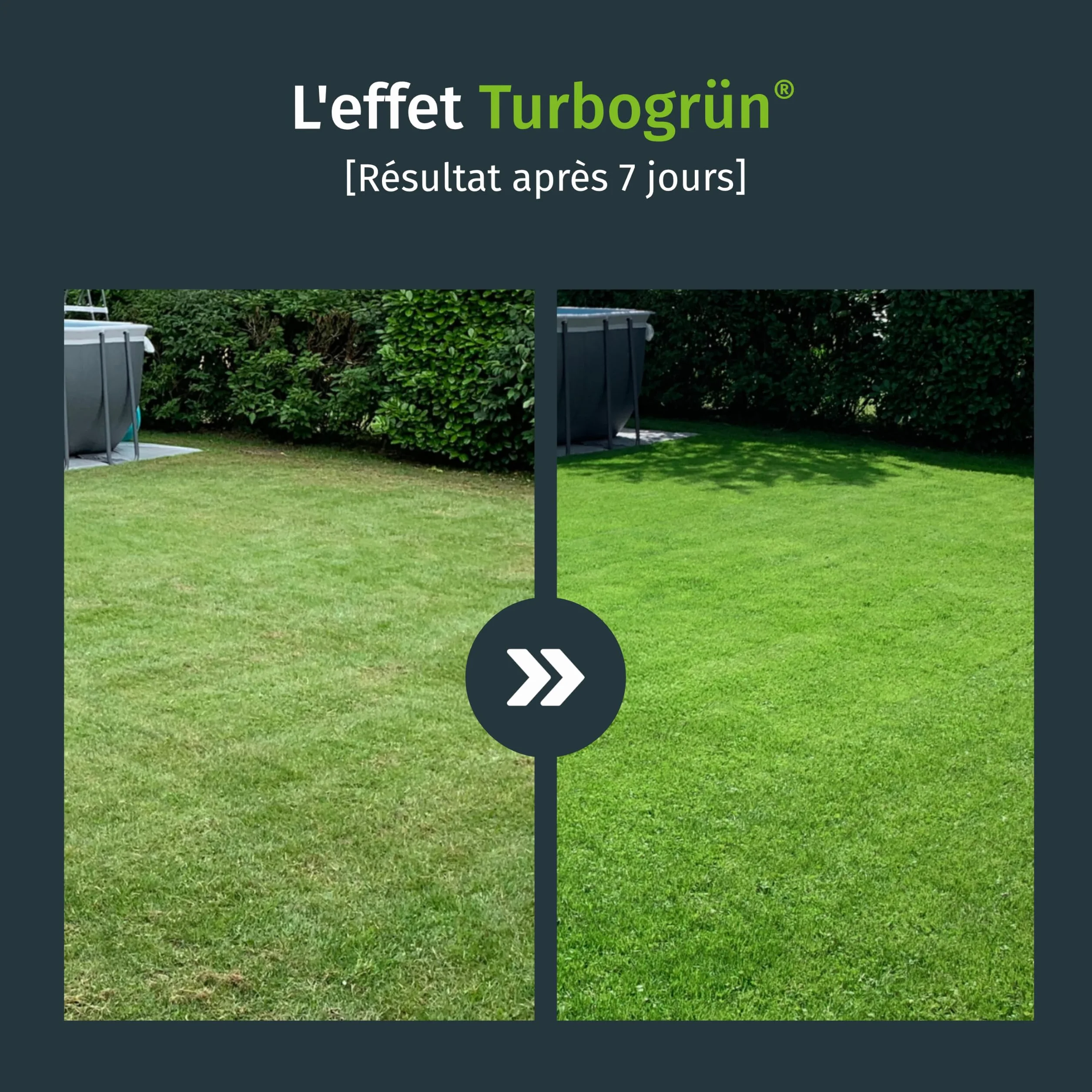 Turbogrün engrais gazon printemps 10 kg 500m² fertilisant pelouse saine réduit mousse été adapté épandeurs