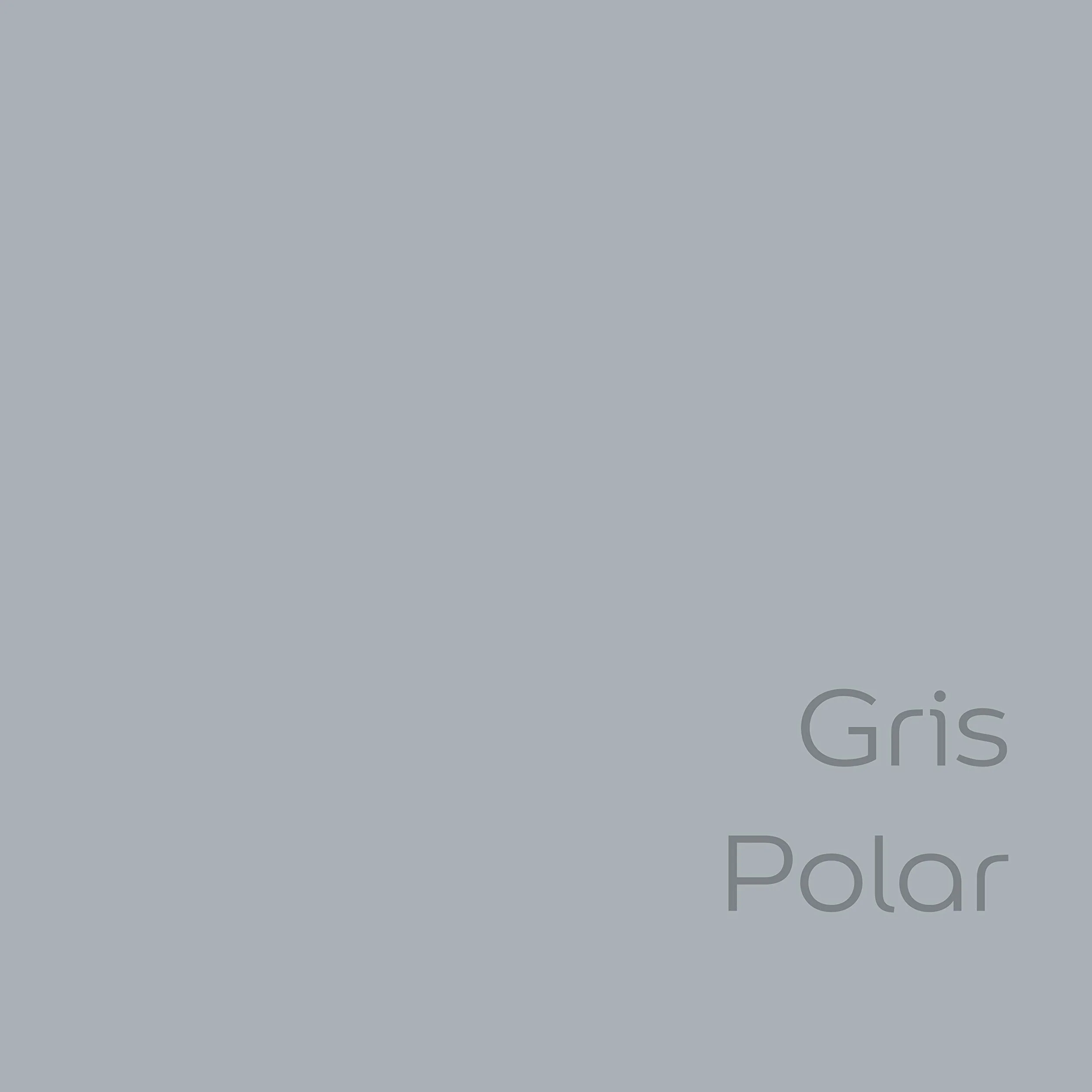 BRUGUER ULTRARESIST Gris Polaire 4 L Noir