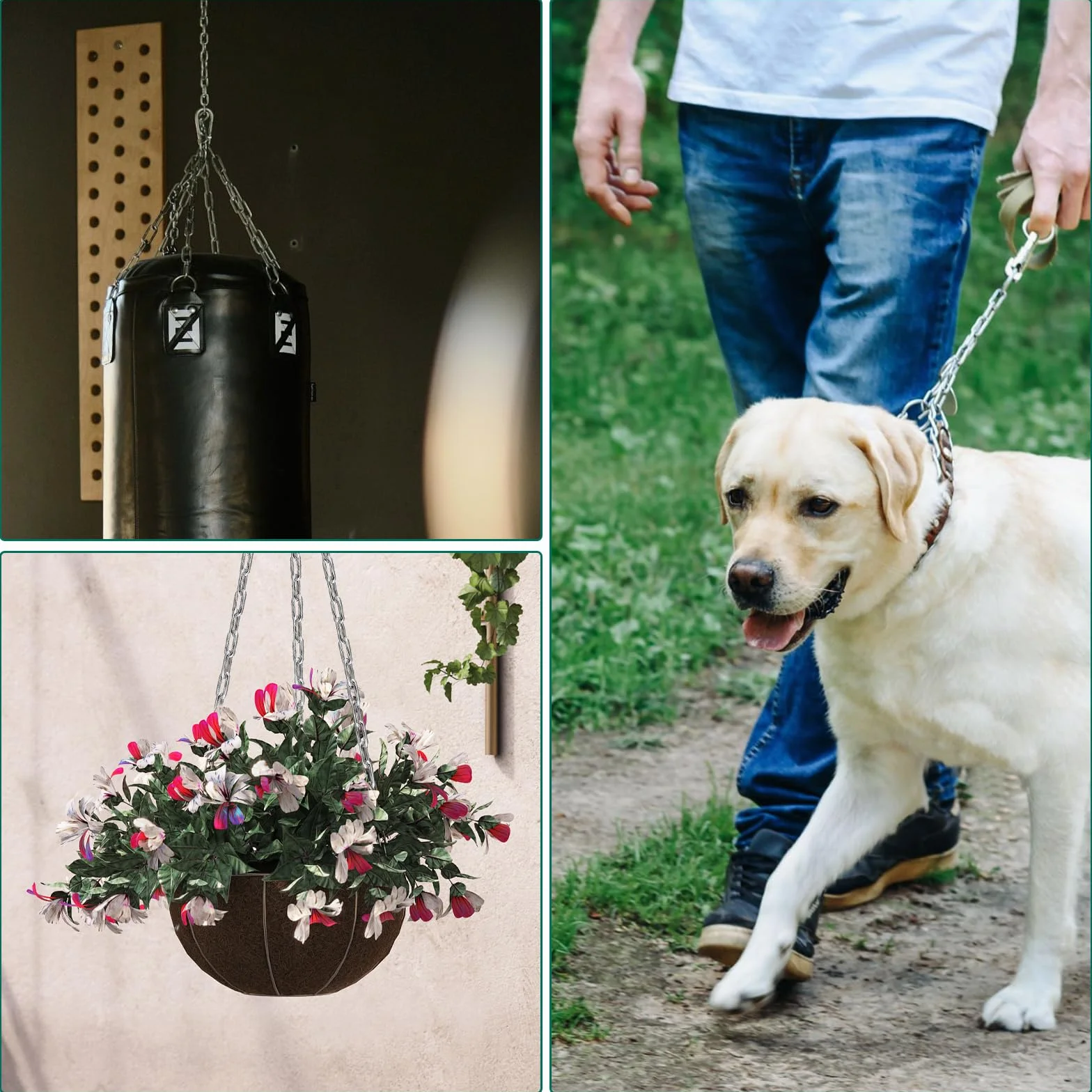 Ø3 mm Chainette Acier Inoxydable, 5M Chaine Inox, Chaîne avec 2 Mousquetons, Argent Chaine Chien, Chaine Acier Inoxydable Bricolage pour Corde À Linge, Plantes Suspendues