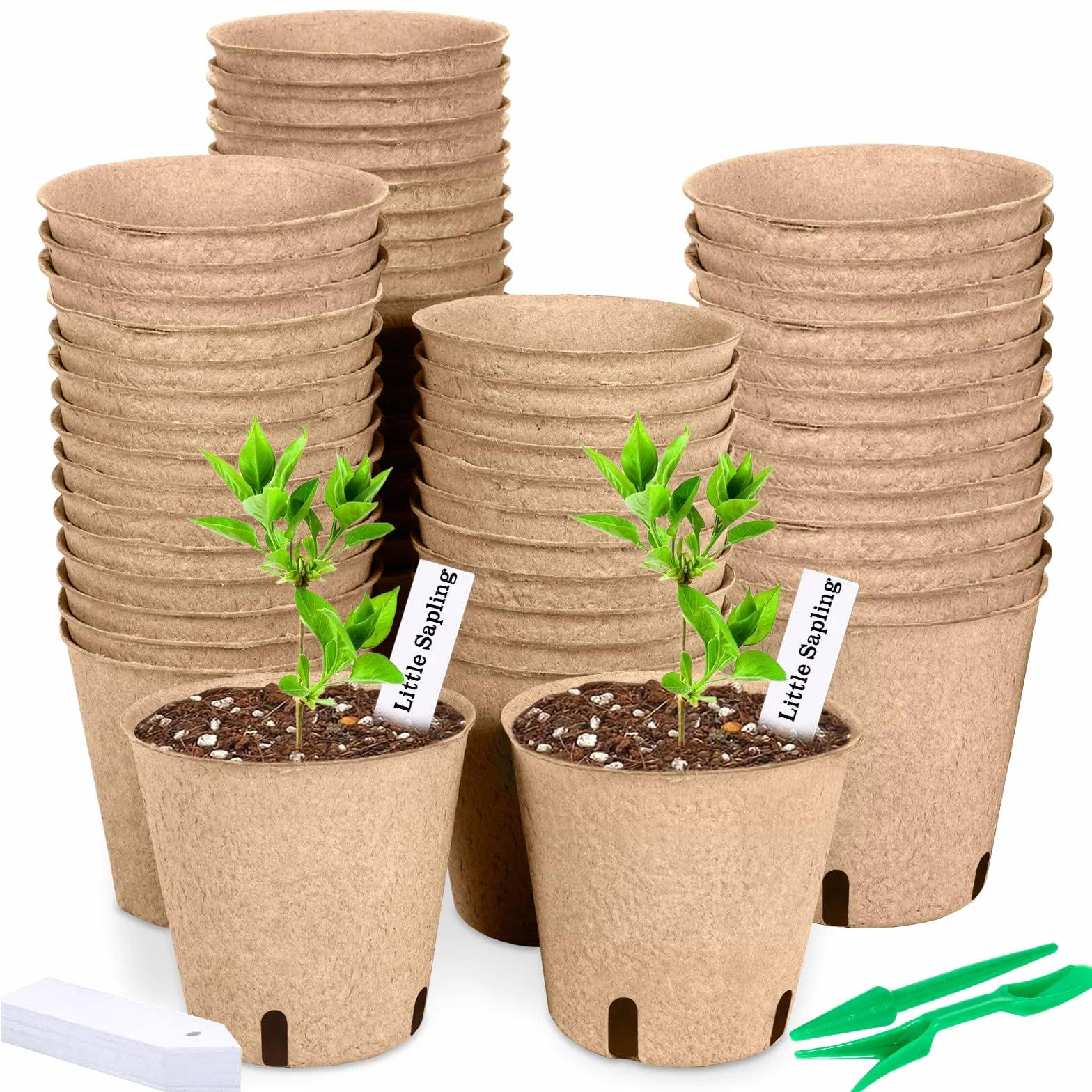 Godets pour Semis 8cm, 50 Pièces Kit de Pots de Semis en Fibre Biodégradable avec Étiquettes et Outils