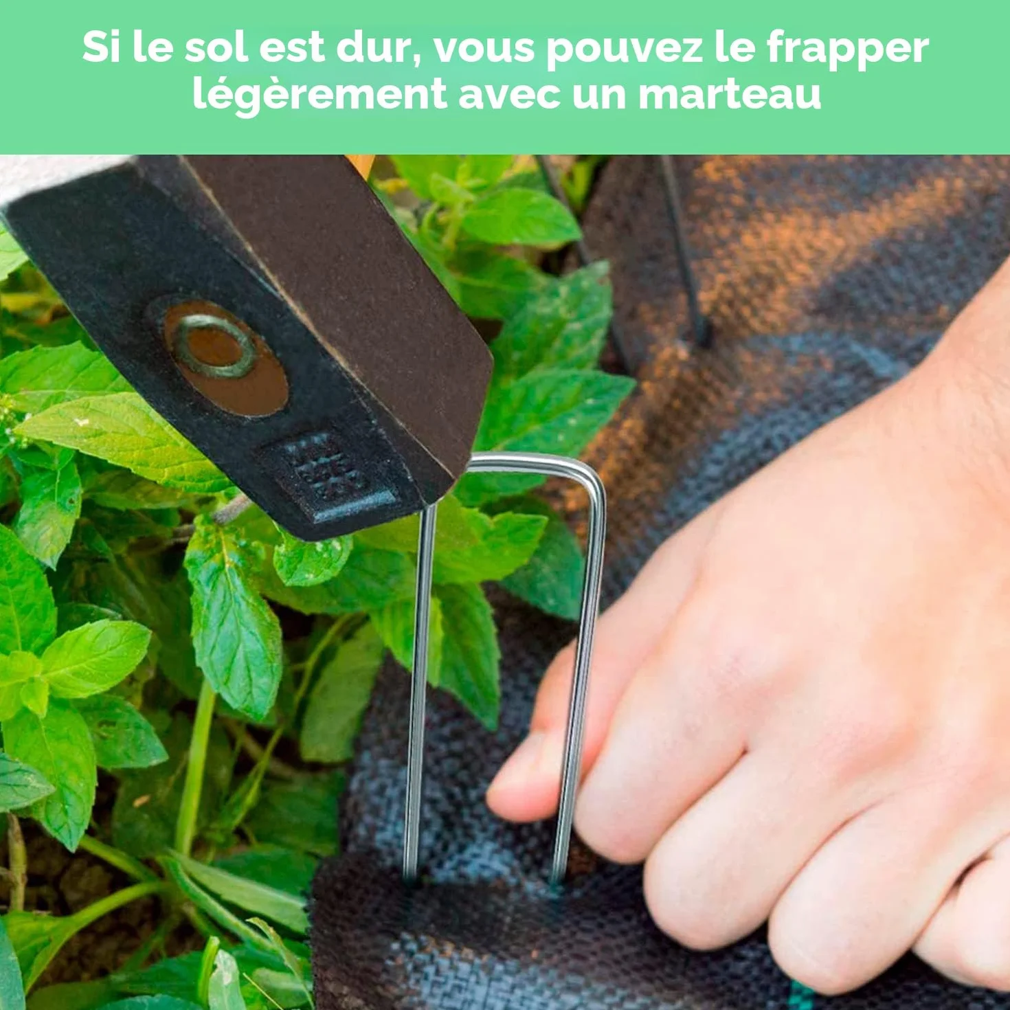 EDIESI Sardines de Fixation Acier 150x40x3mm 50 Pièces pour Jardin, Paillis, Gazon Artificiel