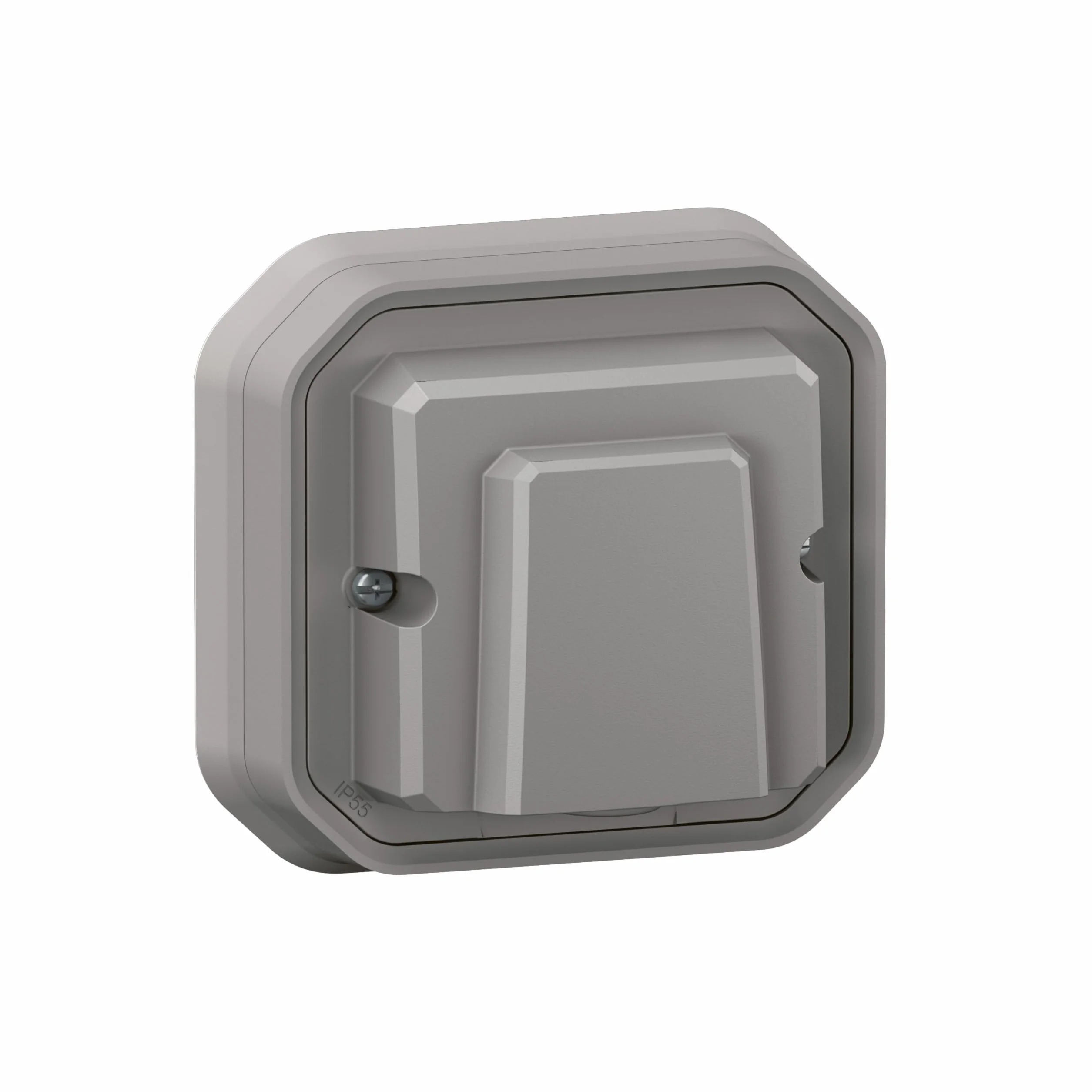 Legrand 069849L PL-COMP E/S PULS PERS 10A BL Baumarkt, gris