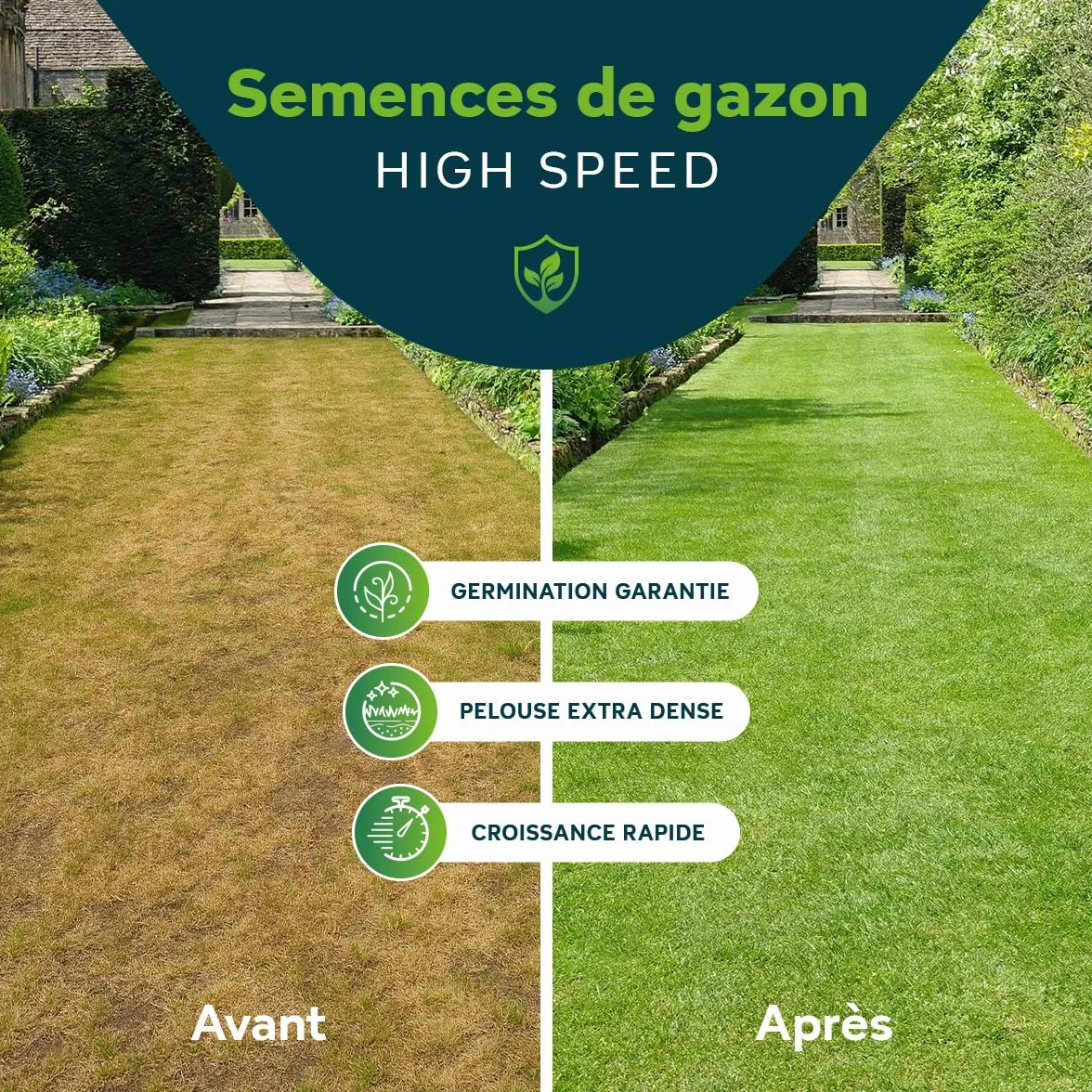 Semences Gazon Regarnissage 10 kg pour 500 m² - Germination rapide - Gazon dense et résistant