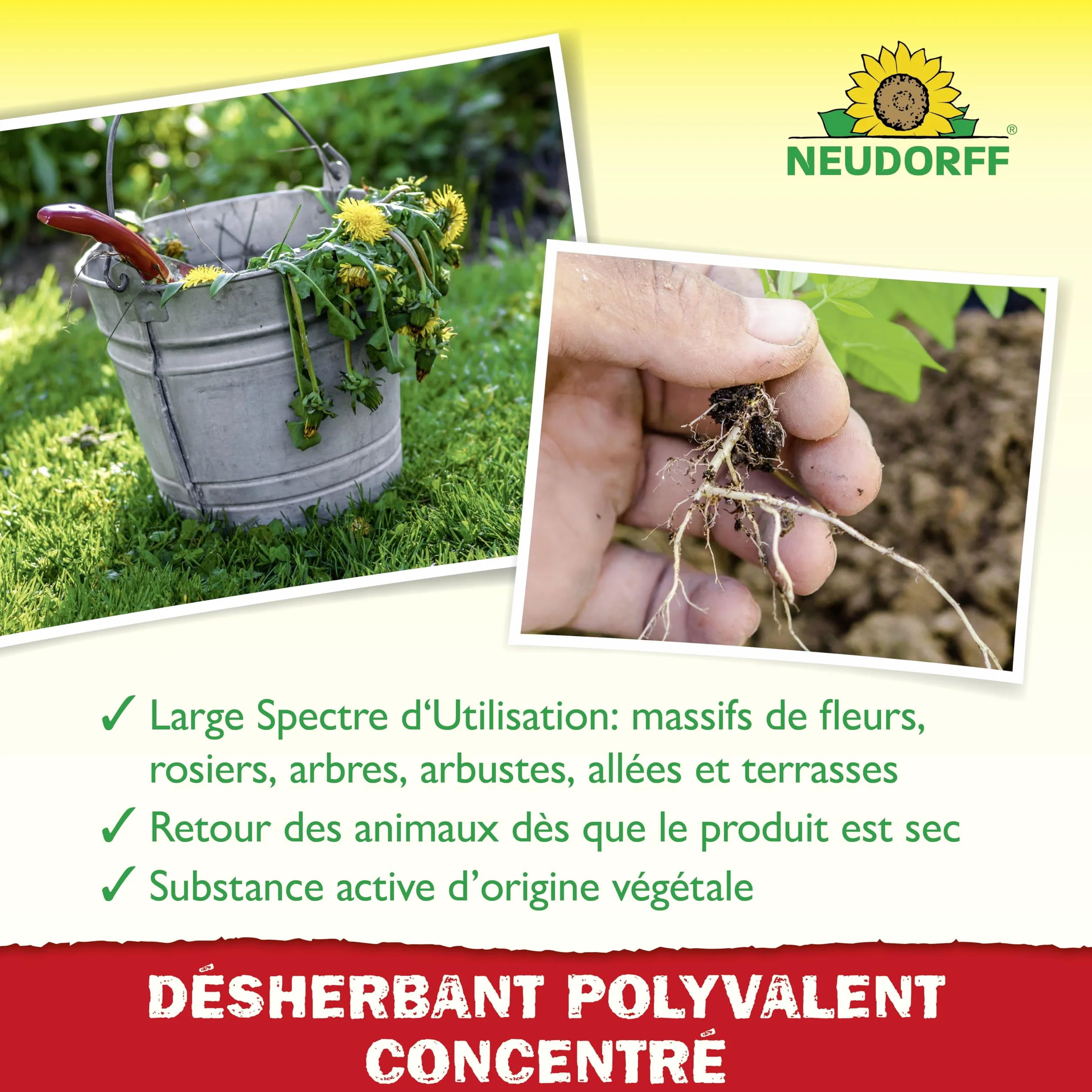 Neudorff Finalsan Désherbant Polyvalent 1 L Concentré Sans Glyphosate 60m²