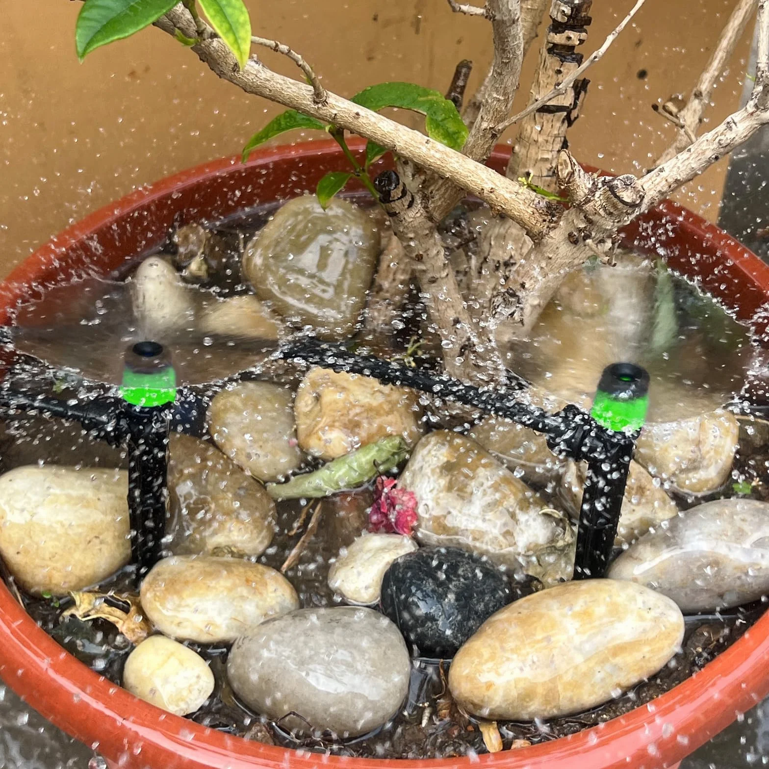 Émetteurs Goutte à Goutte Réglables Irrigation Goutte à Goutte Micro-débit 360 Degrés pour Tube 4mm/7mm Vortex-100P Vert