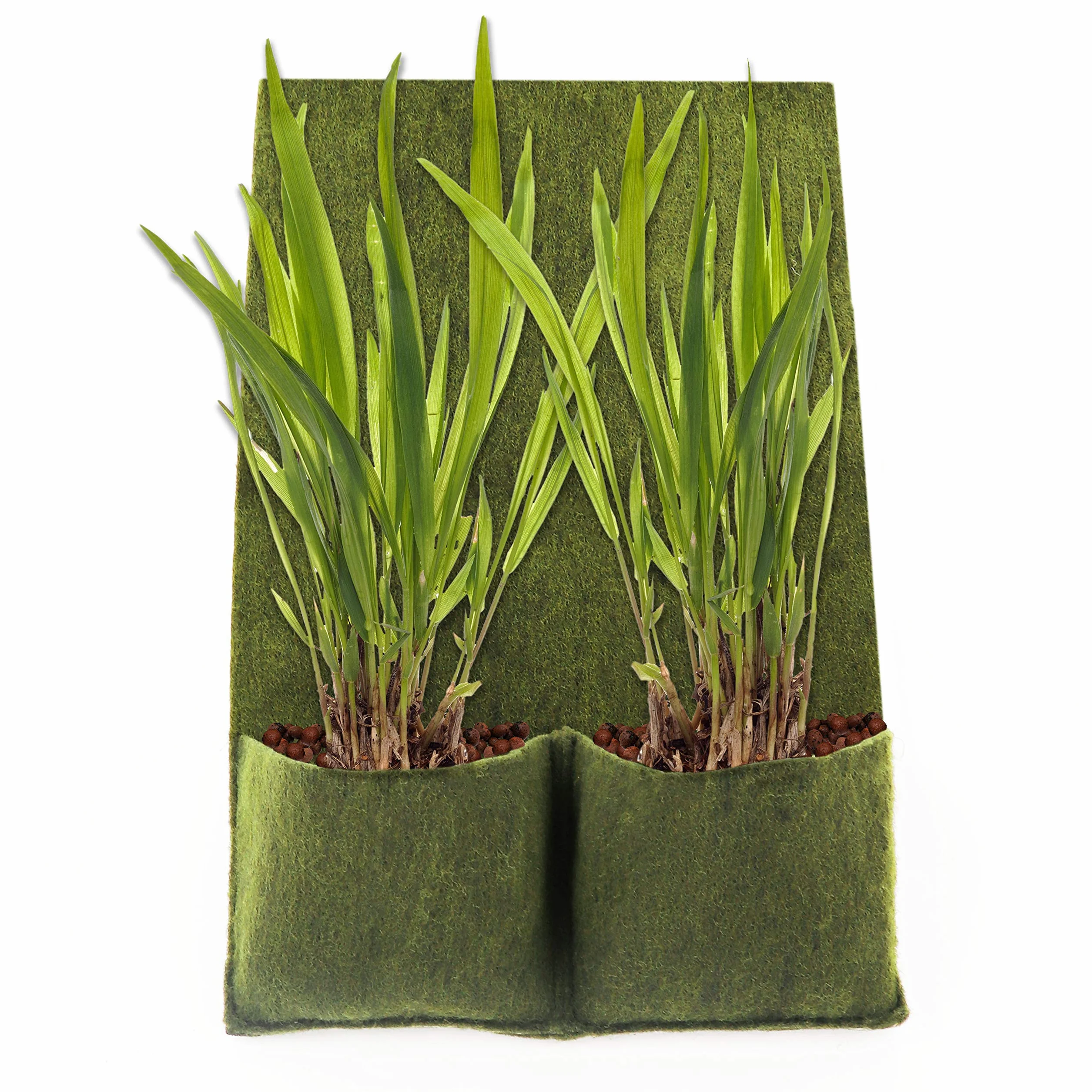 Aquagart tapis de rive de bassin 100 cm x 60 cm sacs de plantes PP