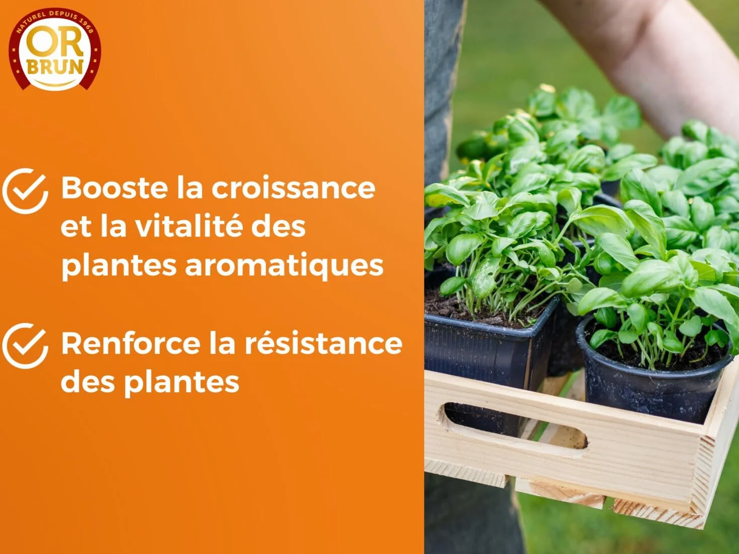 Engrais Plantes Aromatiques 250ml Utilisable en Agriculture Biologique Fabriqué en France OR BRUN