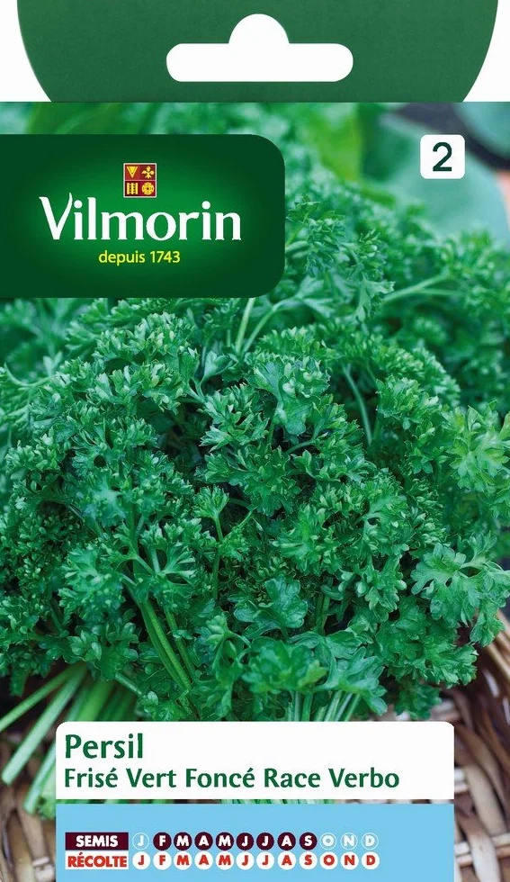 Vilmorin Pack de Graines Persil Frise Race Verbo Sélection