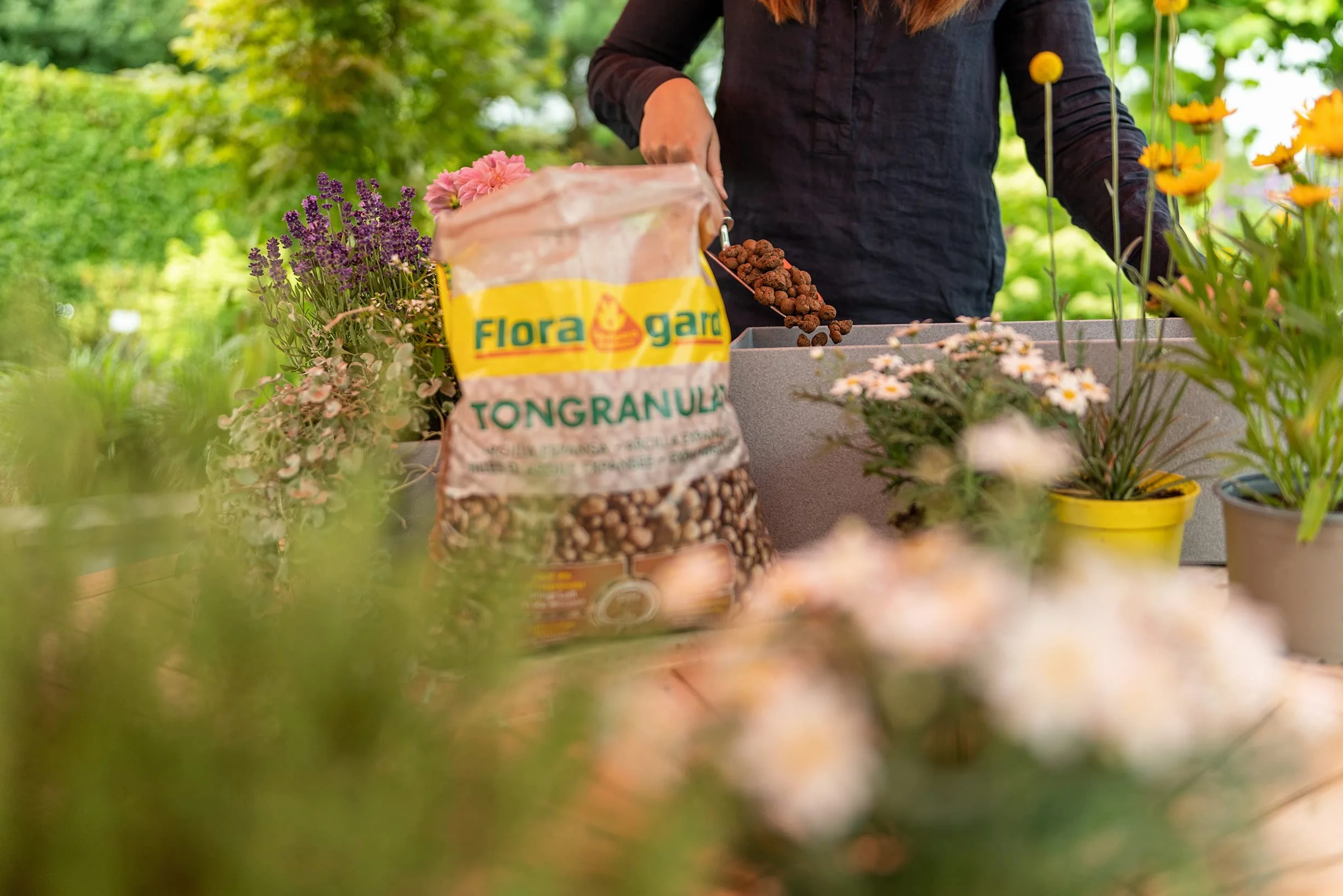 Floragard Granulés d'argile expansée pour drainage 50 l