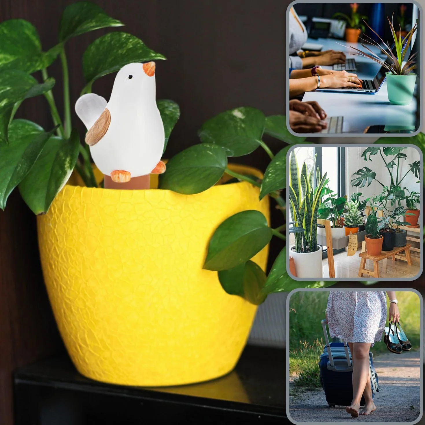 COM-FOUR® arrosage automatique plantes d'intérieur distributeur d'eau cônes d'argile hydrospikes 4 pièces