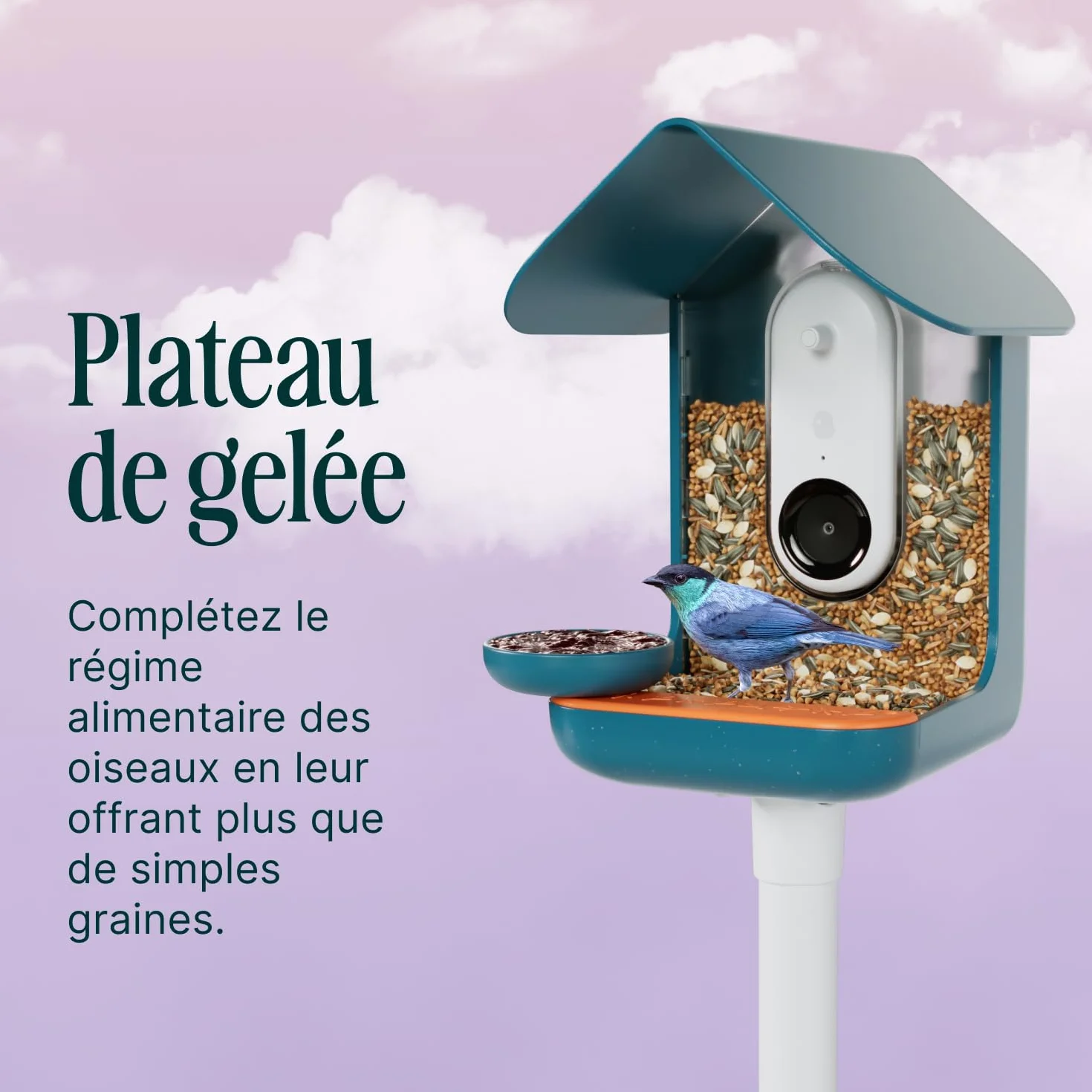 Birdbuddy Ensemble de Nutrition 3 en 1 – Fontaine à Eau, Piquet à Fruits, Mangeoire à Gelée pour Oiseaux Extérieur