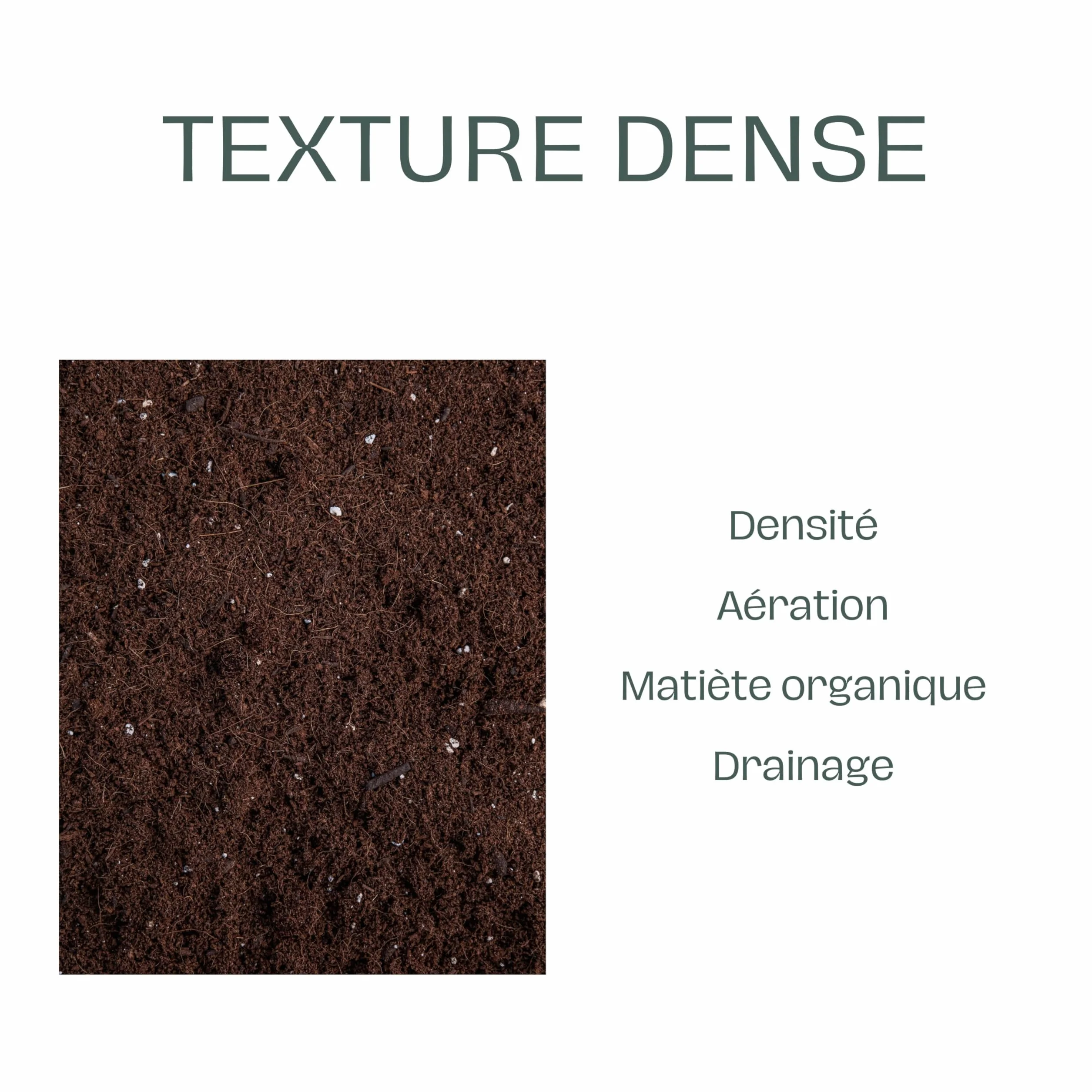 La Plaine Chassart Terreau Plantation 50L Toutes Variétés Plantes Extérieur