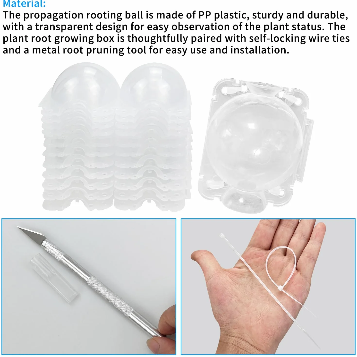 Lot de 12 Boîtes d'Enracinement de Plantes Transparentes avec Serrures et Pulvérisateur