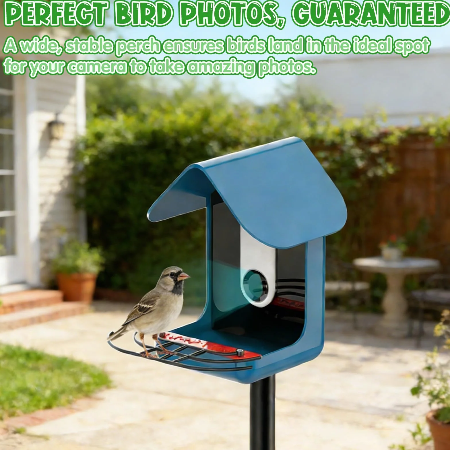 Rallonge de perchoir en métal pour mangeoire Bird Buddy, Accessoires et pièce de Rechange