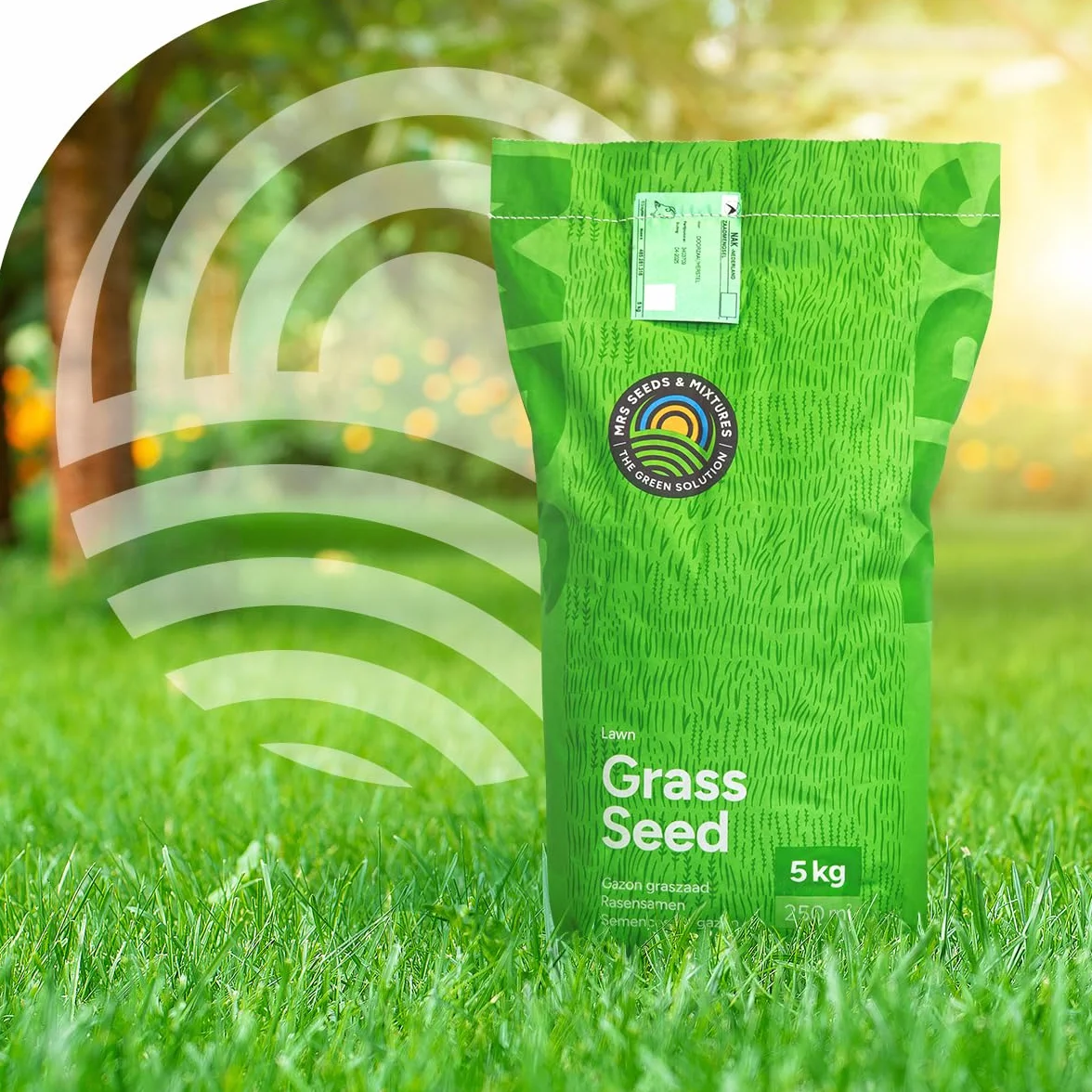 MRS Clover Lawn Semences de gazon micro-trèfle 1 kg 50 m² résistante sécheresse peu entretien ombragées