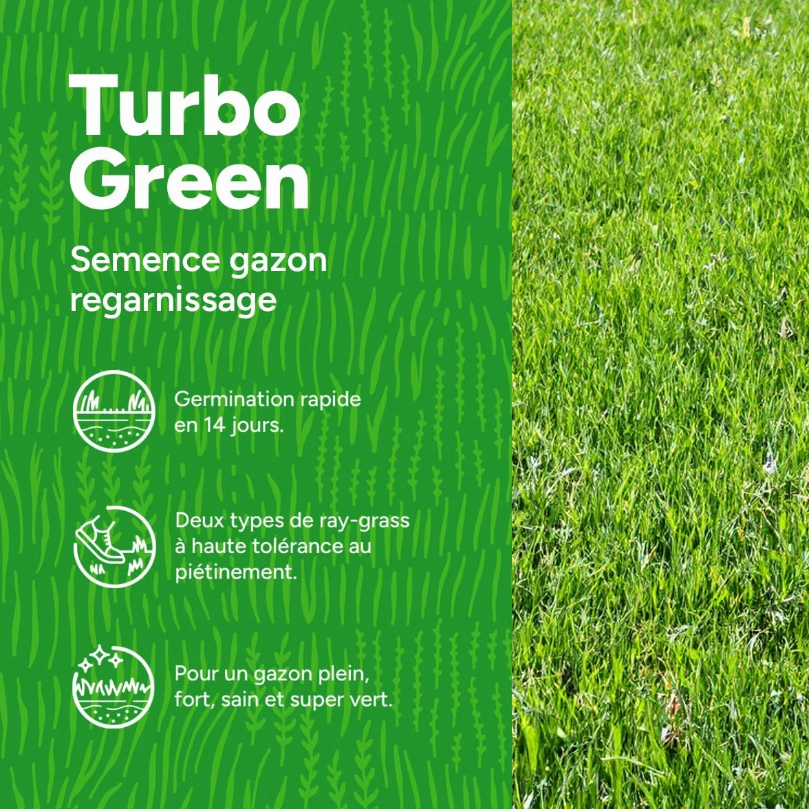 Semence Gazon Regarnissage MRS Turbo Green 5 kg 250 m² Germination rapide Gazon dense Grande tolérance au piétinement