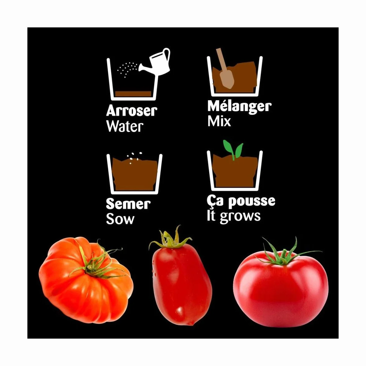 Serre avec châssis zinc noir Tomates bio 3 pots