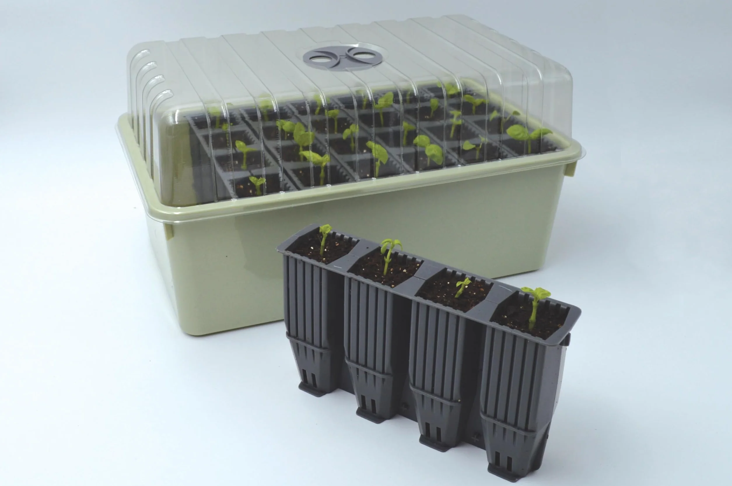 Garland Products Ltd Kit de réussite Racines Profondes 28 cellules