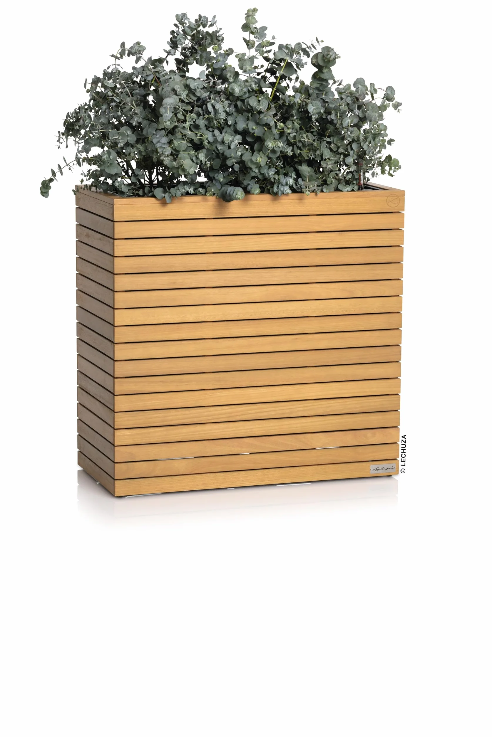 Lechuza Palo 16775 Jardinière en Bois d'eucalyptus Naturel 78,5 x 37 x 77 cm avec Système d'arrosage