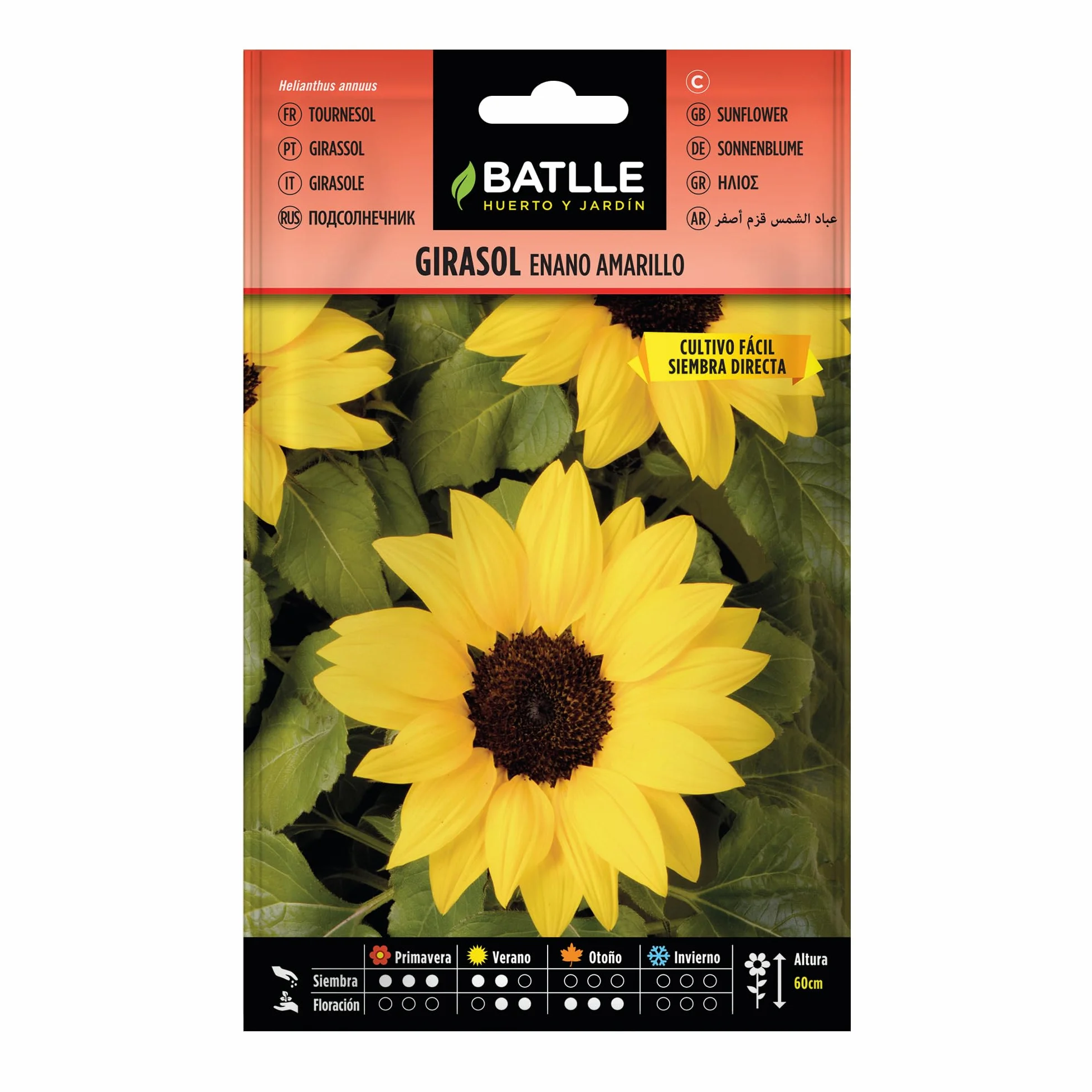 Tournesol Jaune Nain