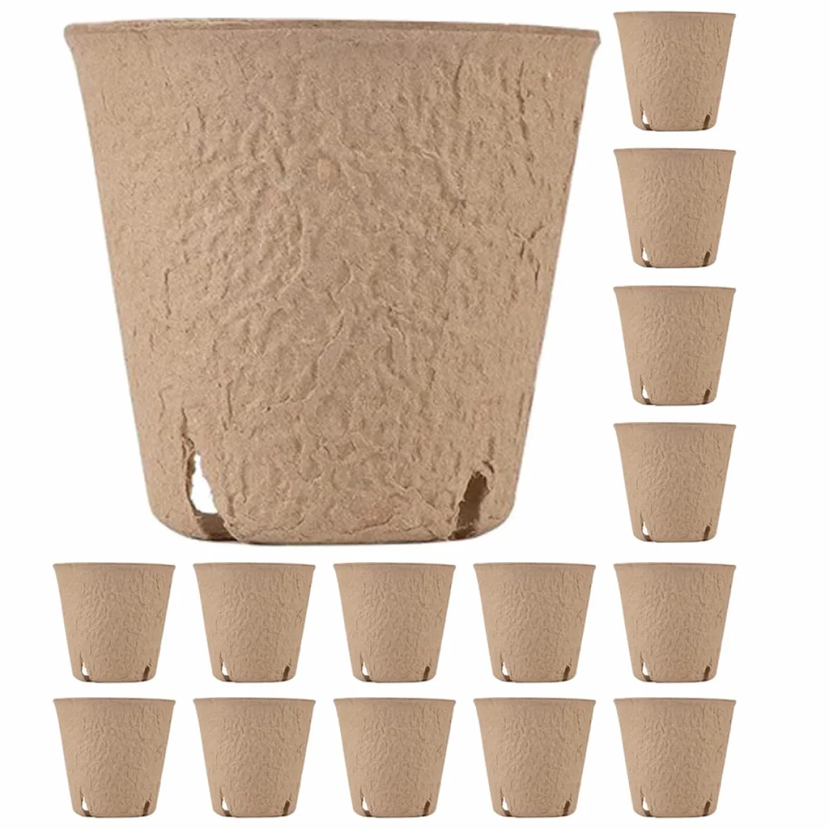 BESPORTBLE 20 pièces Pots De Germination pour Plantes Godets De Jardinage avec Drainage