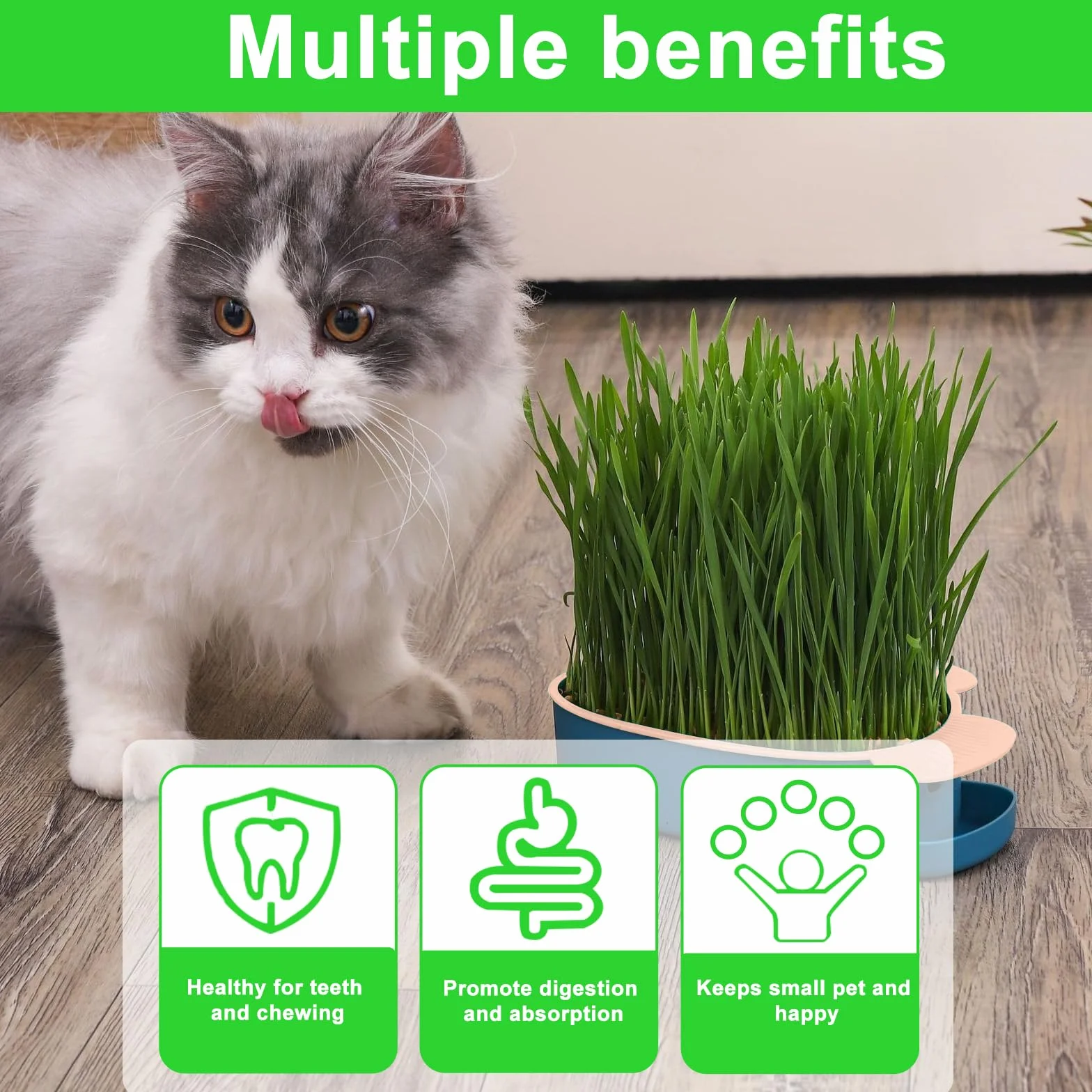 Plateau de Croissance en Forme de Poisson pour Chat HOMURY - 2 Pièces Plastique, Boîte Hydroponique avec 10 Sacs de Graines