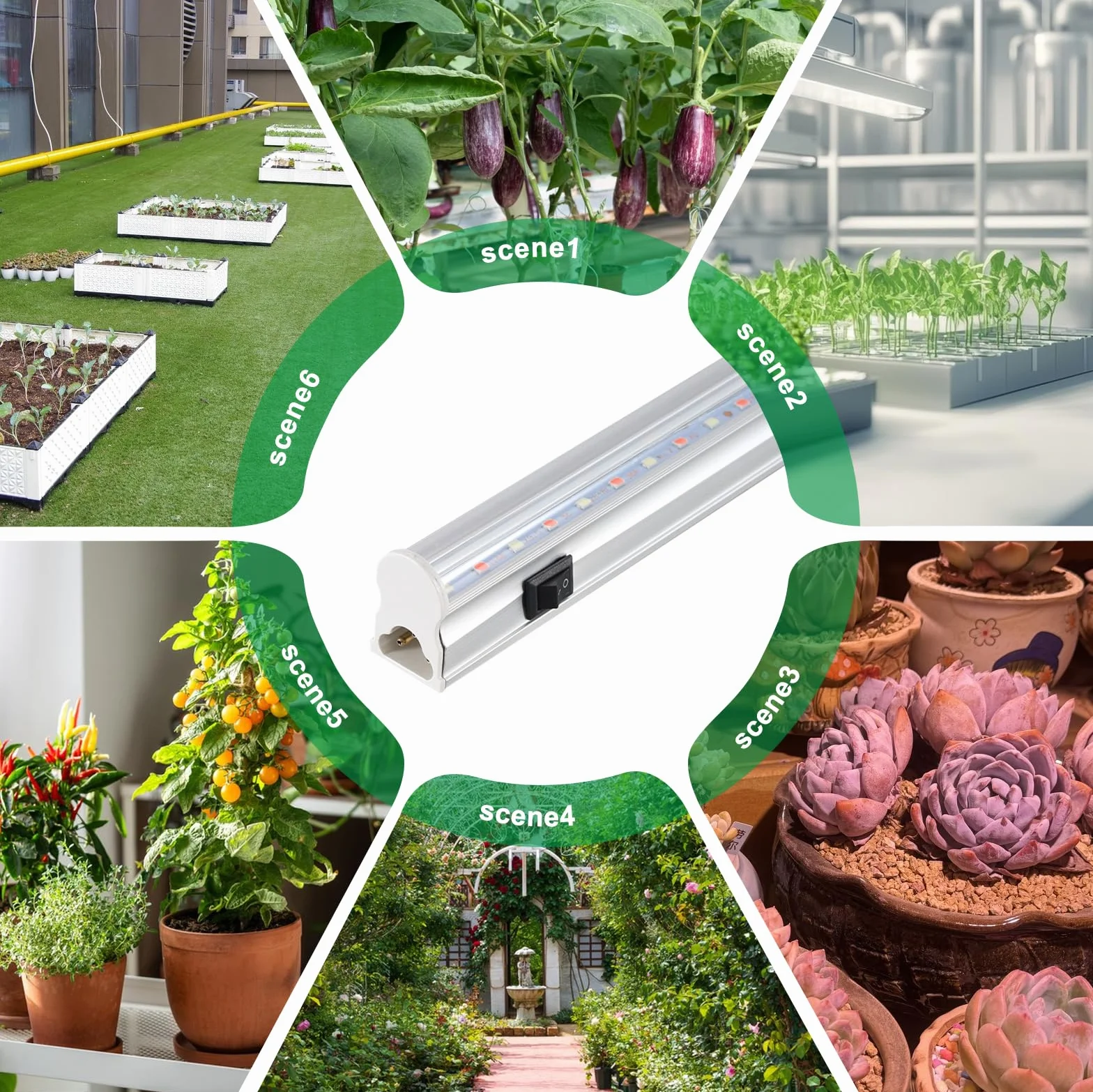 Lampes LED T5 30cm pour plantes d'intérieur, spectre complet du soleil, chaînable pour serre