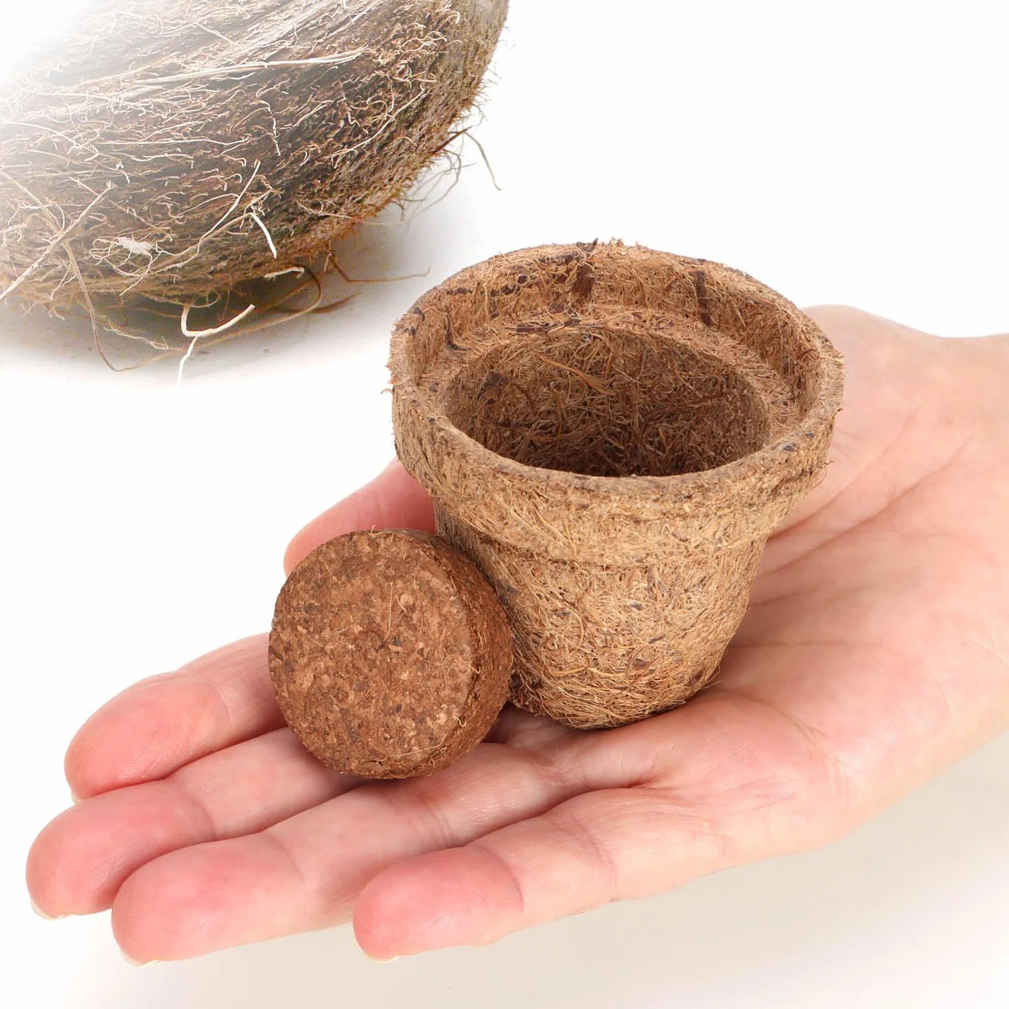 Kit de Culture de Noix de Coco 20 pièces - Disques de Noix de Coco Biodégradables avec Pot et Languettes Gonflantes