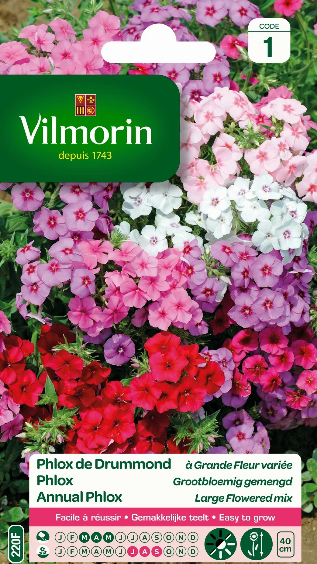 Vilmorin Phlox de Drummond à grande Fleur Variée Multicolore 40 cm