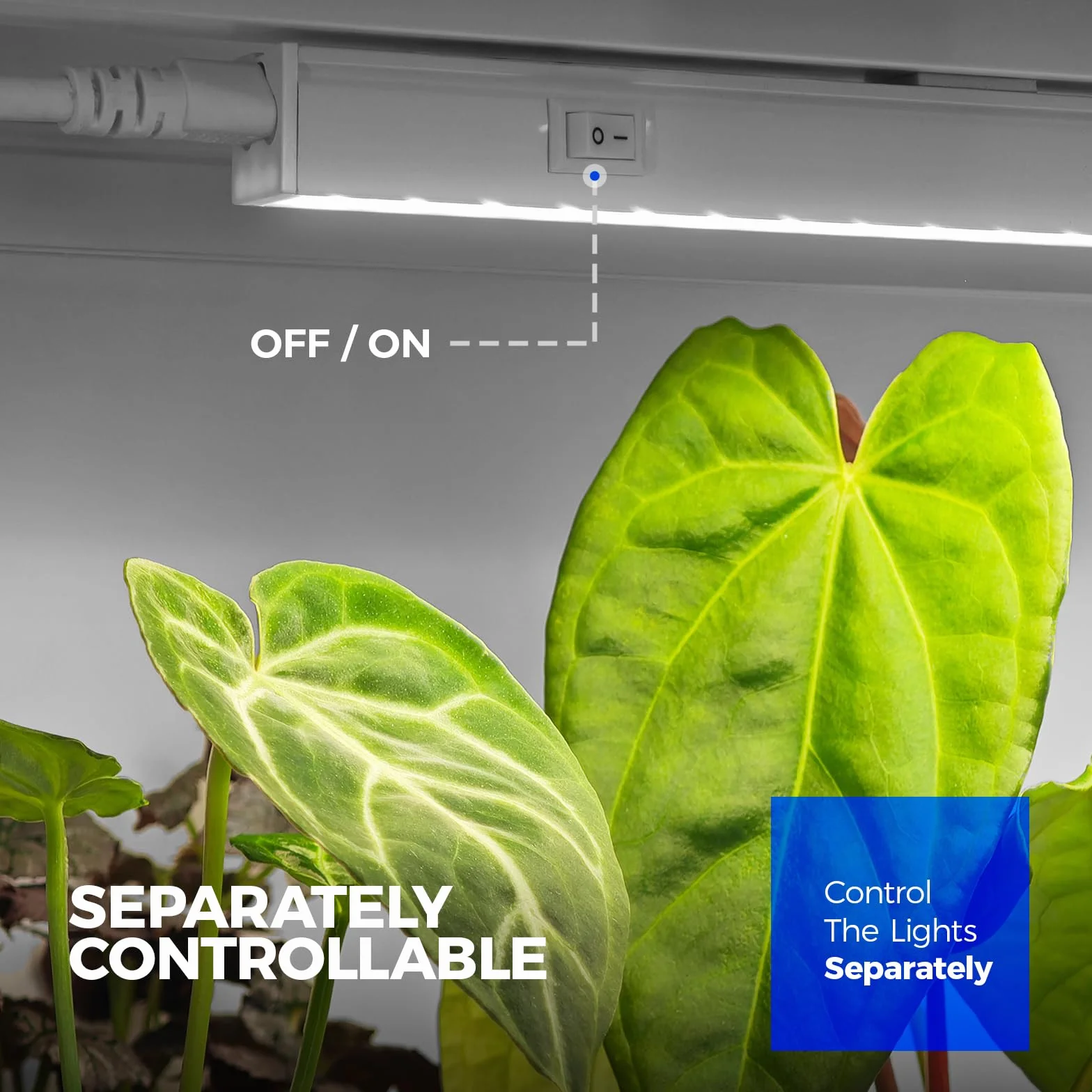 Barrina T5 Lampe Horticole 59cm 5000K Spectre Complet LED 40W 2FT Lampe de Croissance Connectable Pack de 4