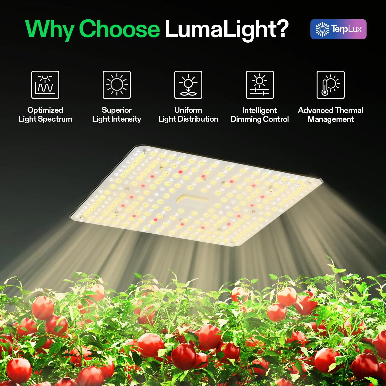 VIVOSUN Lampe de culture LED 100W, Spectre Complet, PPFD Élevé pour Plantes Semis