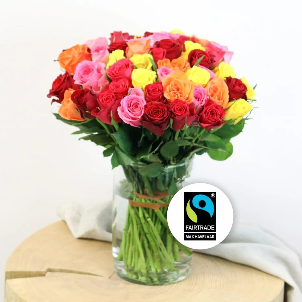 Bouquet de Roses Multicolores Max Havelaar Commerce Équitable 40 Tiges