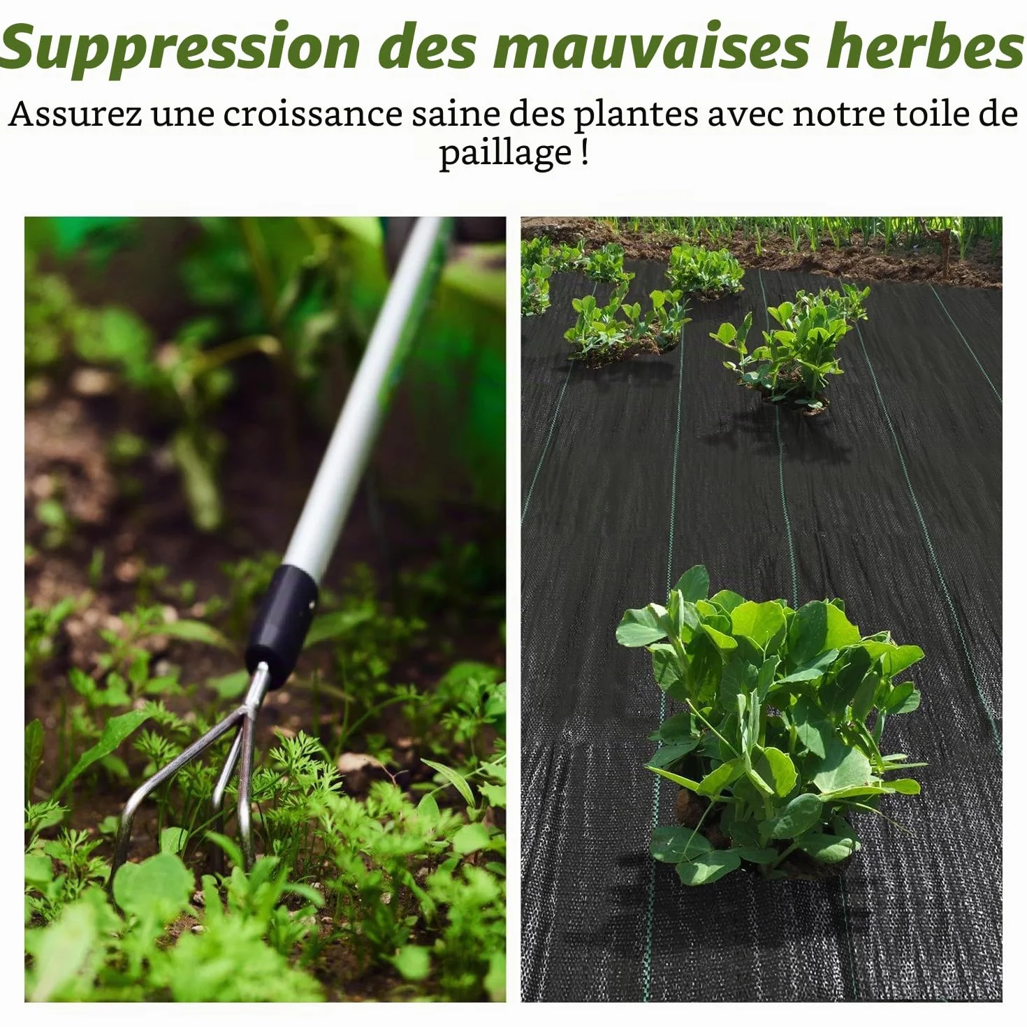 Toile anti-mauvaises herbes 100 g/m² 100 x 5000 cm Tissu de sol perméable à l'eau indéchirable UV Jardin