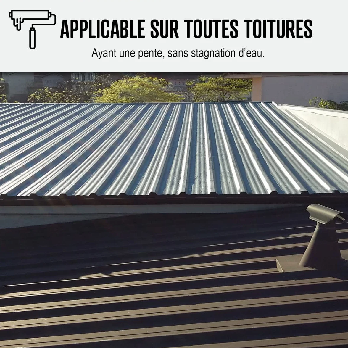 Produit d'étanchéité, toiture métallique, bac acier, peinture tôle, bardage, rouille, résistant à la corrosion et aux intempéries : Arcafilm antico - 20 kg Gris Orage - ARCANE INDUSTRIES